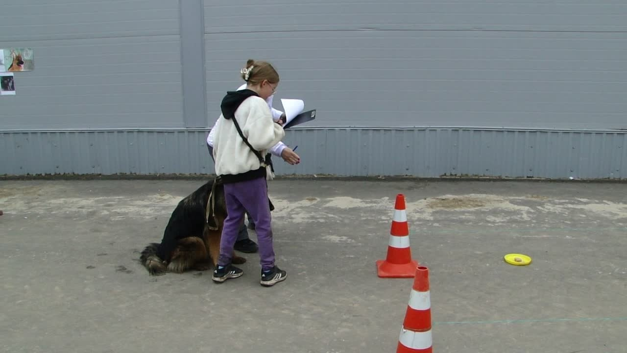 Кинологические старты. НРОО КЦ "Собаковод"