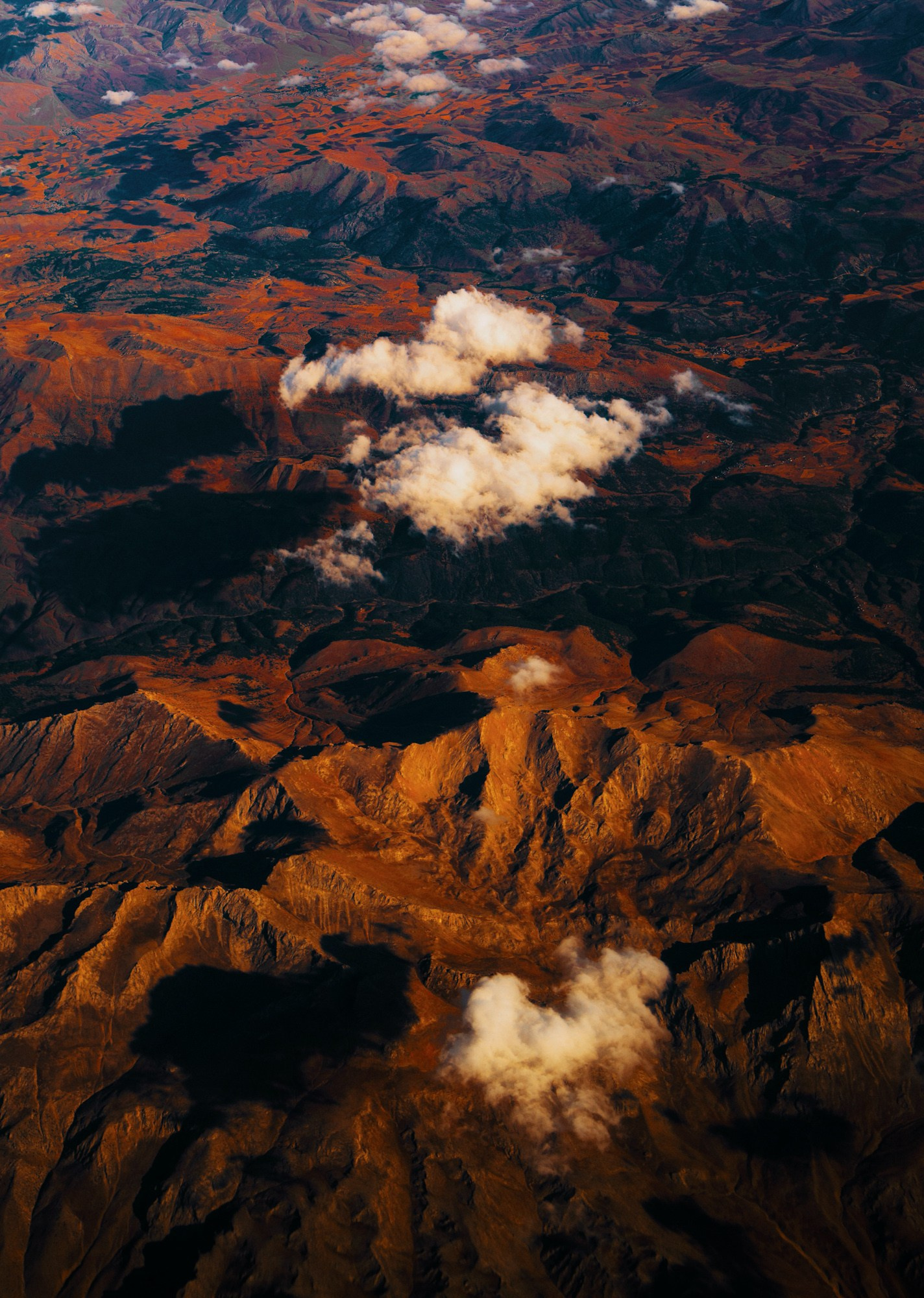 AUTHENTIC FILM. Visual artist Daniil Kontorovich