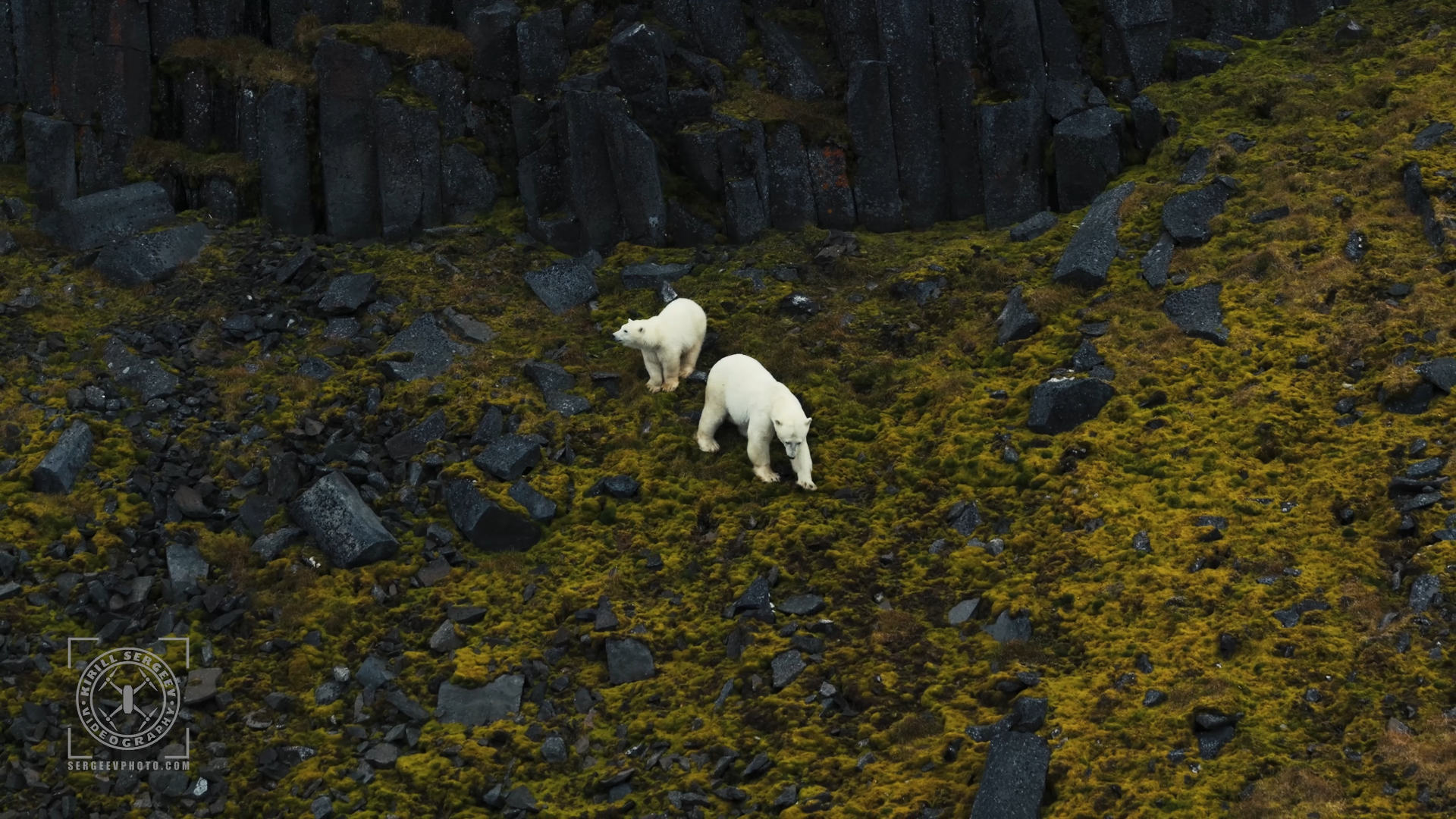 ARCTIC FILM. Photographer Kirill Sergeev | Moscow