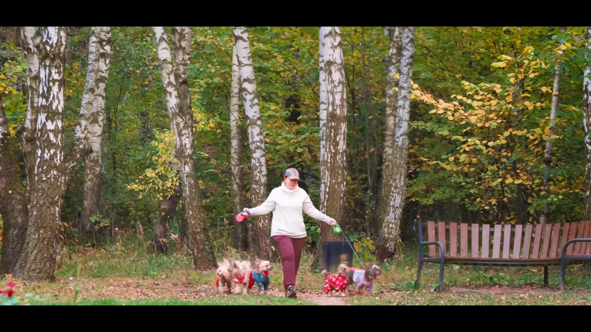Morning walk in the park. Chinese Crested Dog Kennel Poale Ell