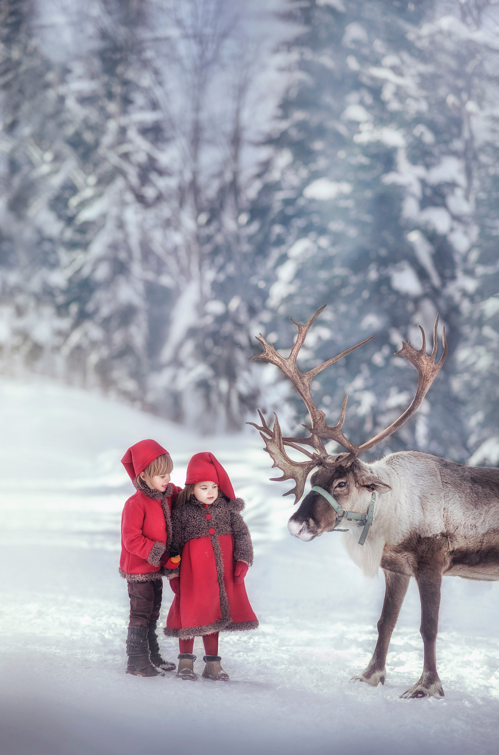 Видео уроки (1). Обучение фотографии. Семейный и детский фотограф в Москве
