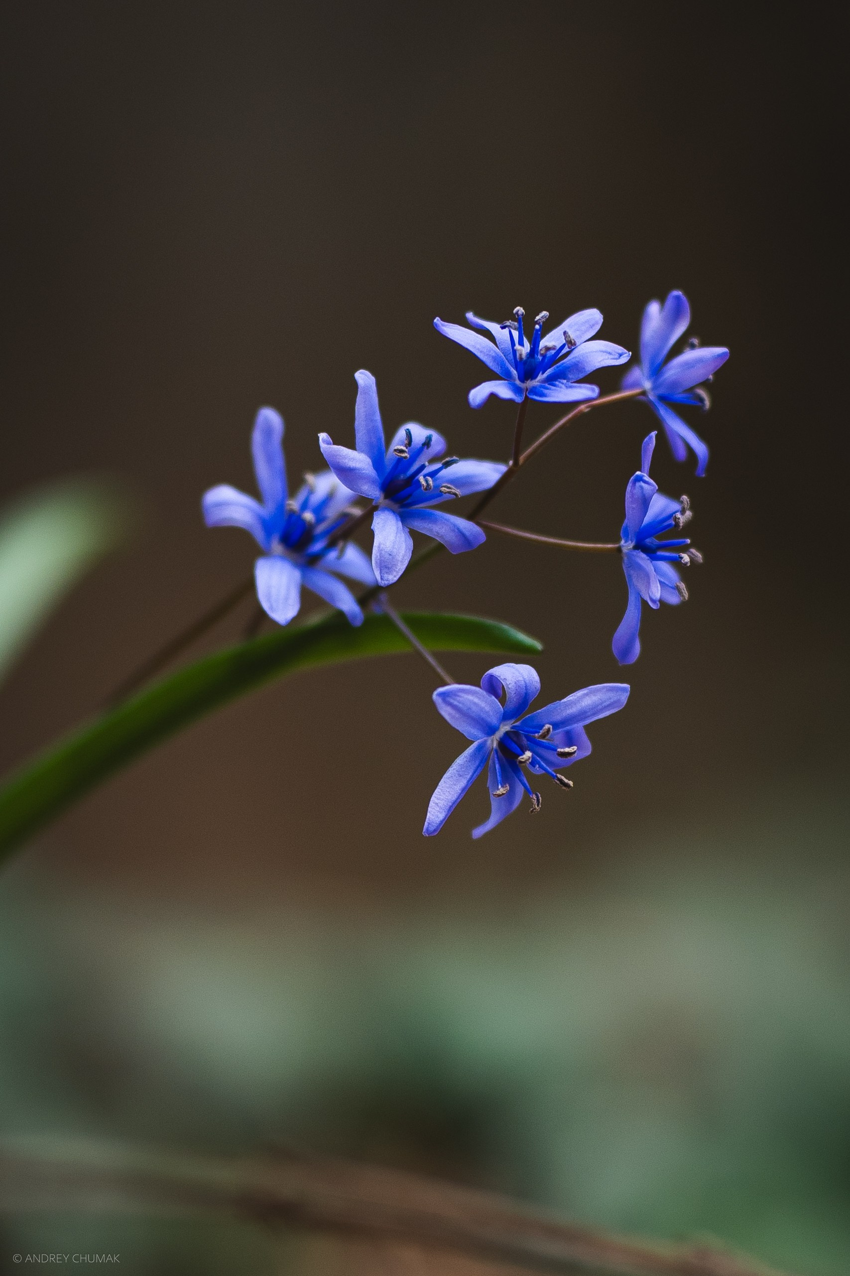 Анонс на фотопоходы в апреле. Универсальный фотограф по Крыму