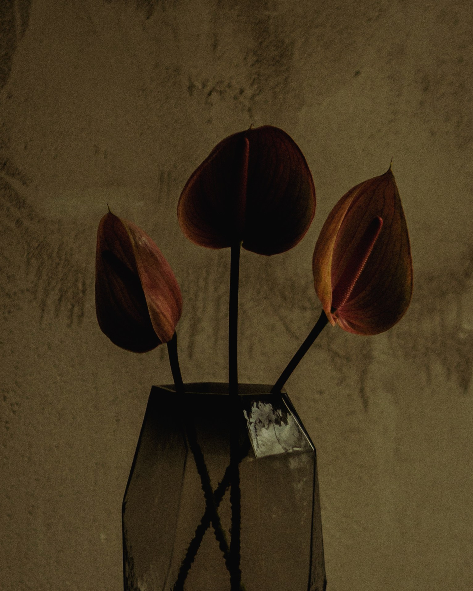 A64 — PORTFOLIO. Ivan Petrov photographer