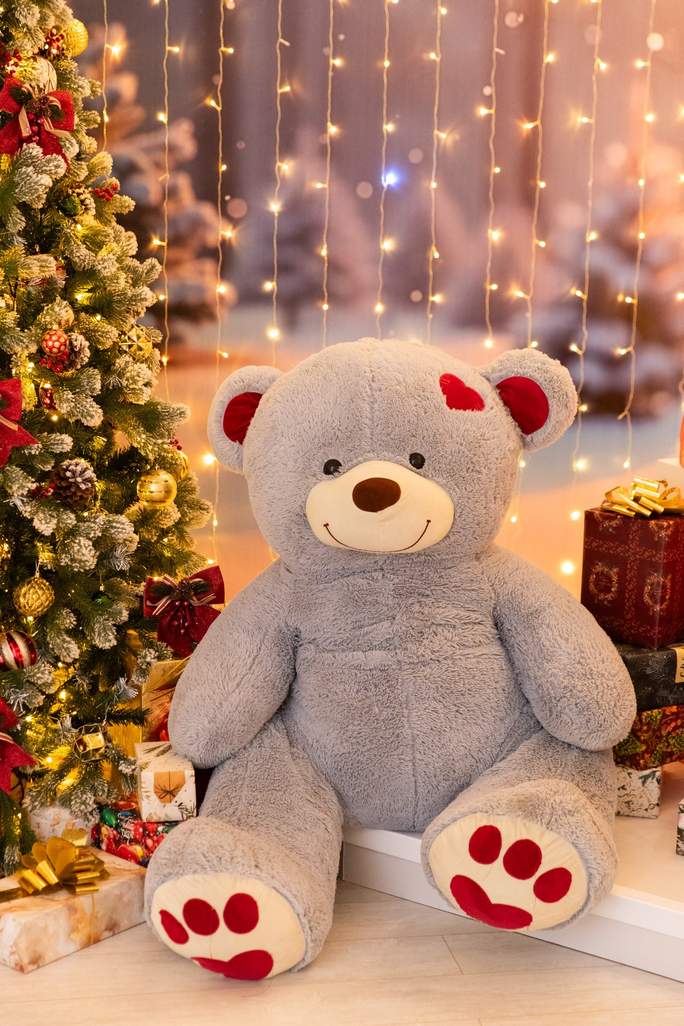 Фотостудия НГ. Профессиональный фотограф Анастасия Кохно