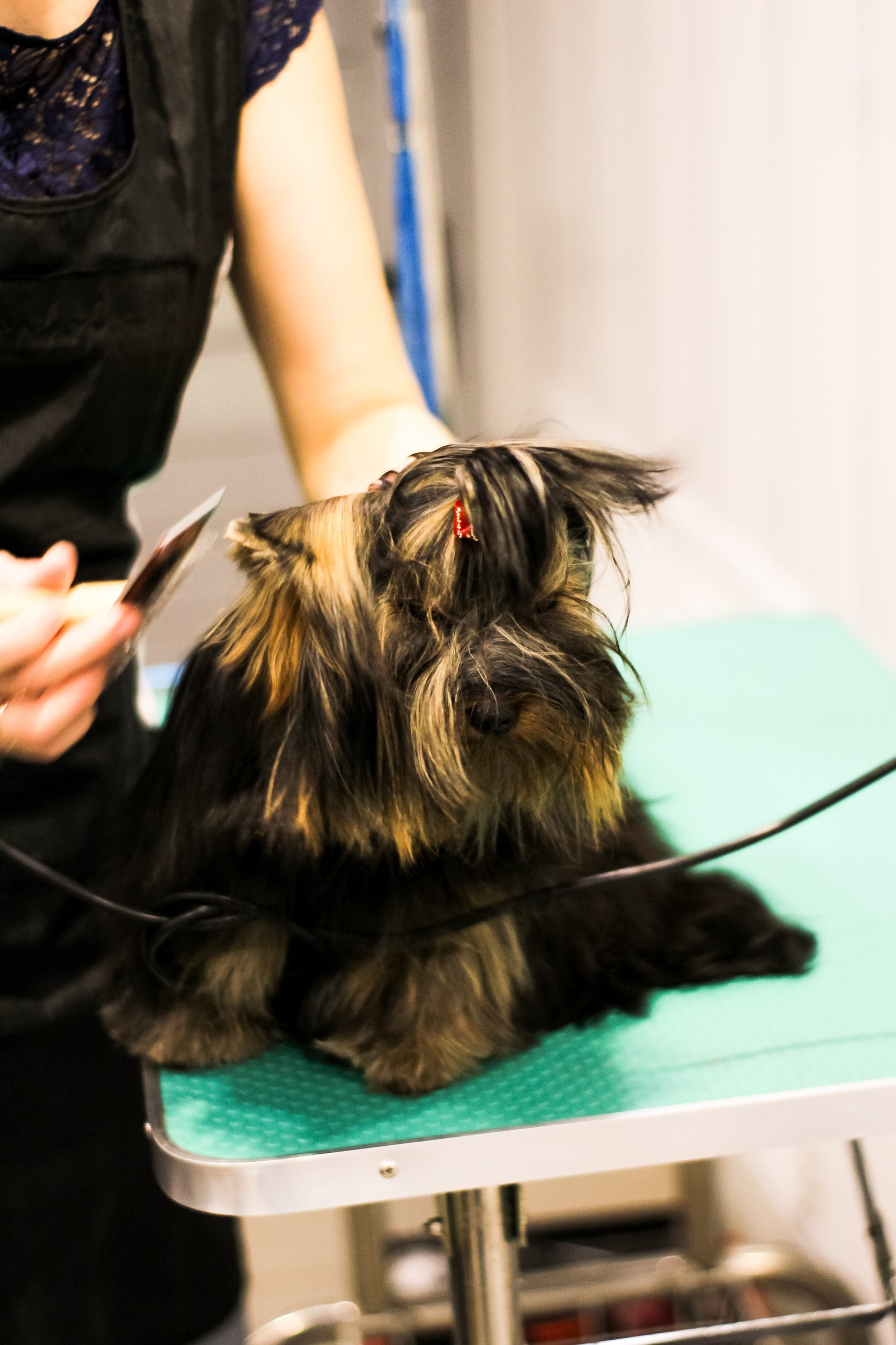 Контент съемка и предметная съемка для продвижения услуг бизнеса. Студия контента «СВОЕ МЕСТО»