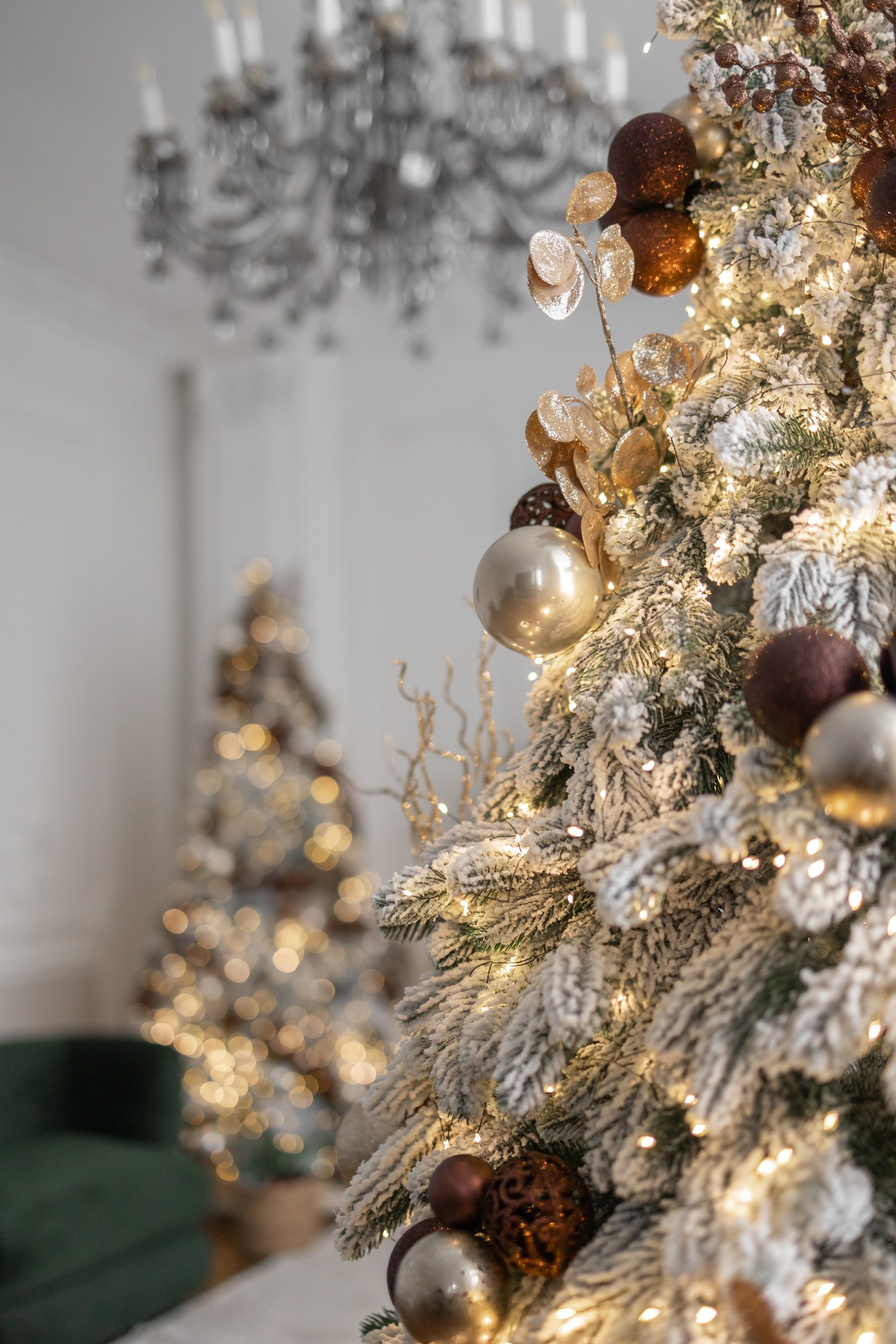 Whitecrow (БЦ «Десна»). Семейный и детский фотограф |Брянск| Анастасия Перепелкина