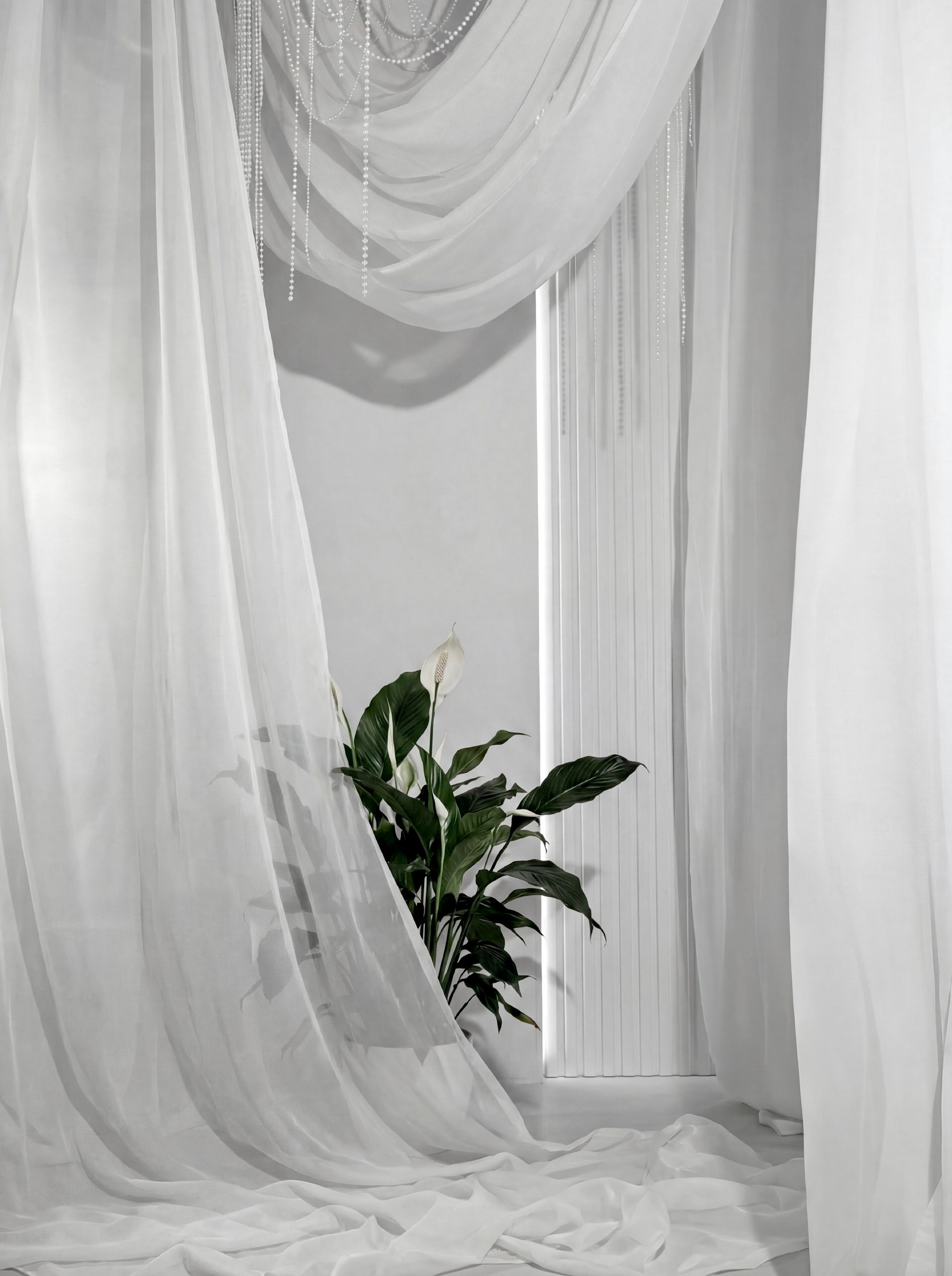 Фотостудия «Алиса» Тюмень