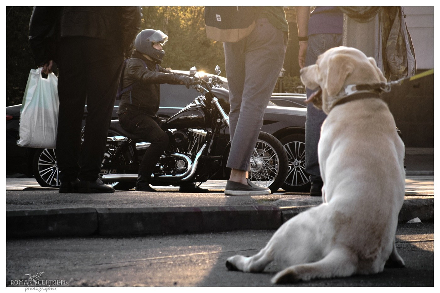 FotoMotoHunterZ — фотографии мотоциклистов на улицах города