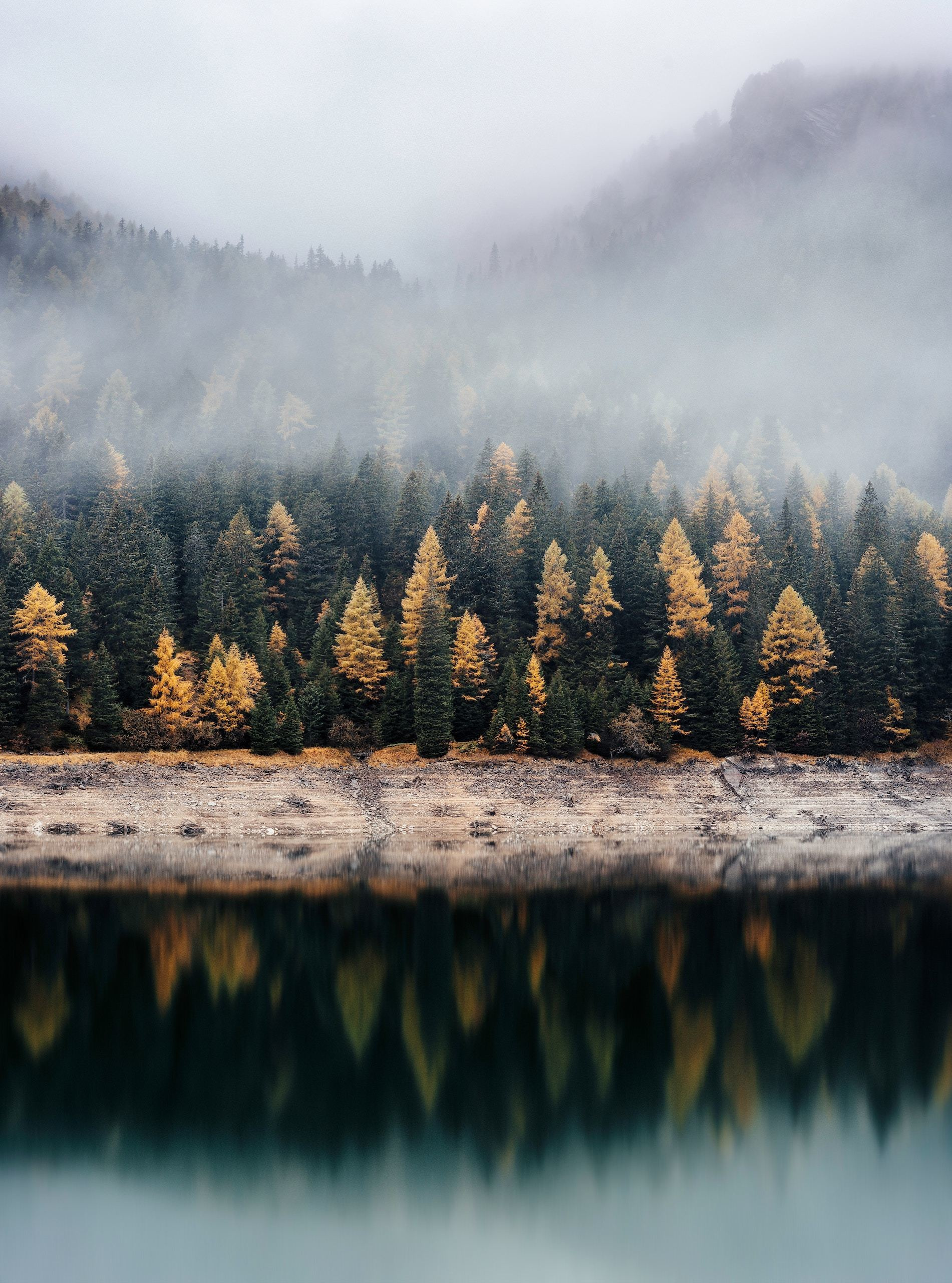 Фотограф Евгения Перцева