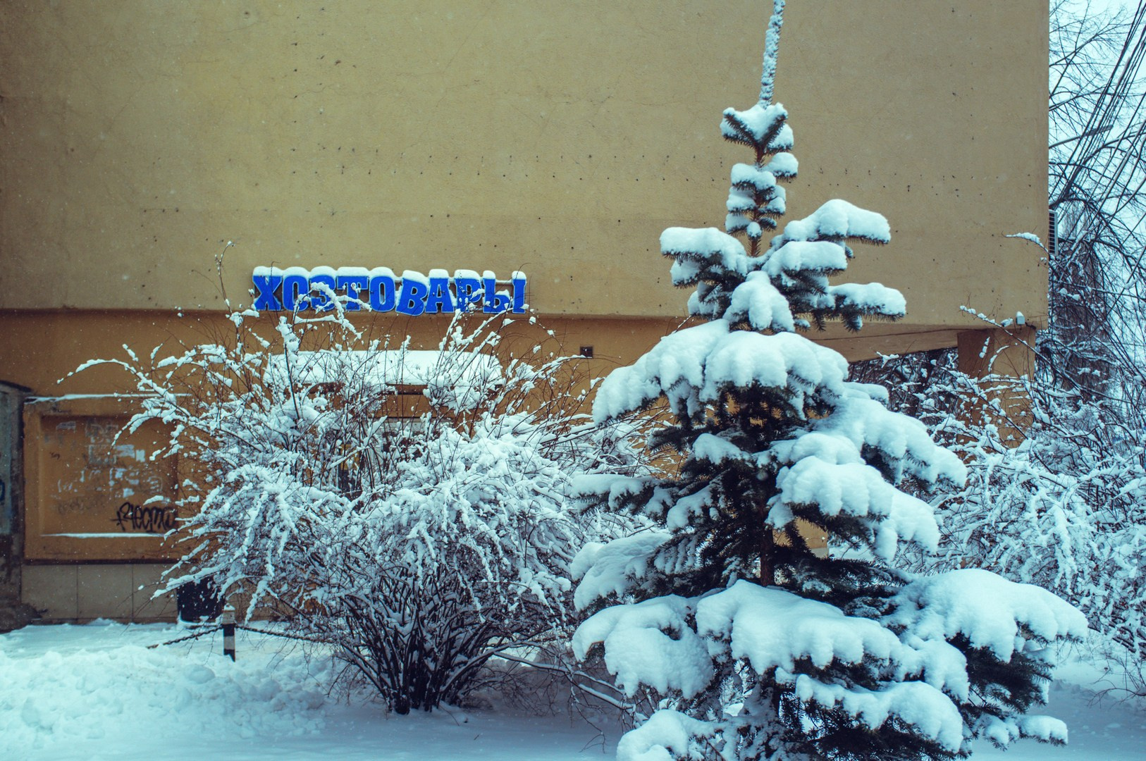 Руслан Шувалов (поэтограф)