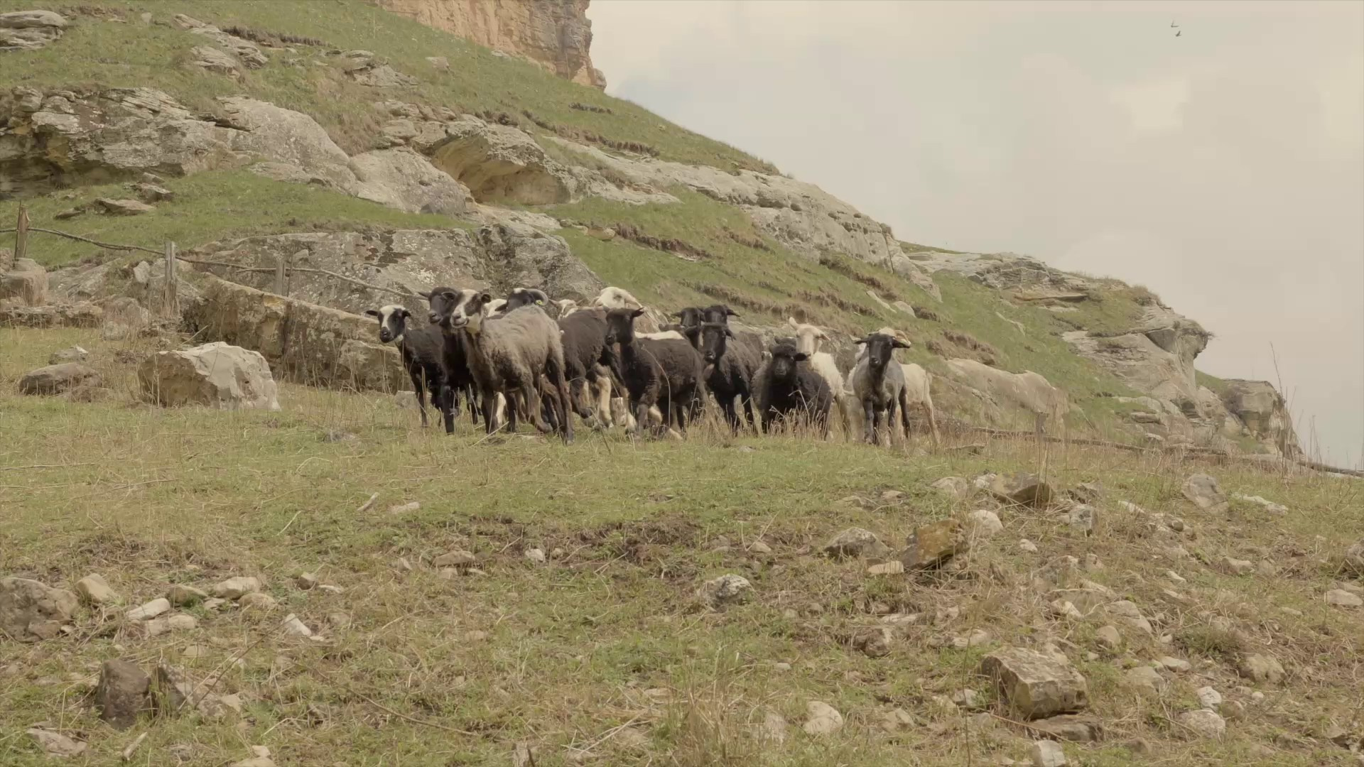 ФотоТур Сергея Спирина на Кавказ. Фотограф и режиссер Сергей Спирин. Москва