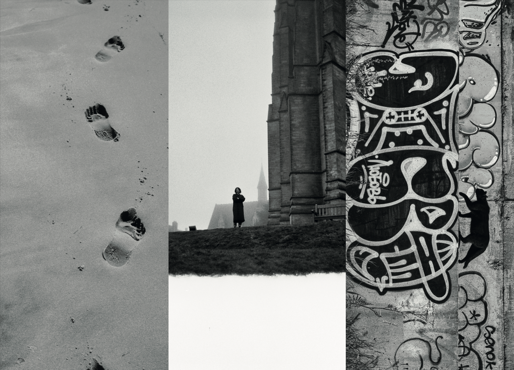 Курс Олега Колимбета: Сторителлинг и создание визуальных нарративов. Самоорганизация Низина