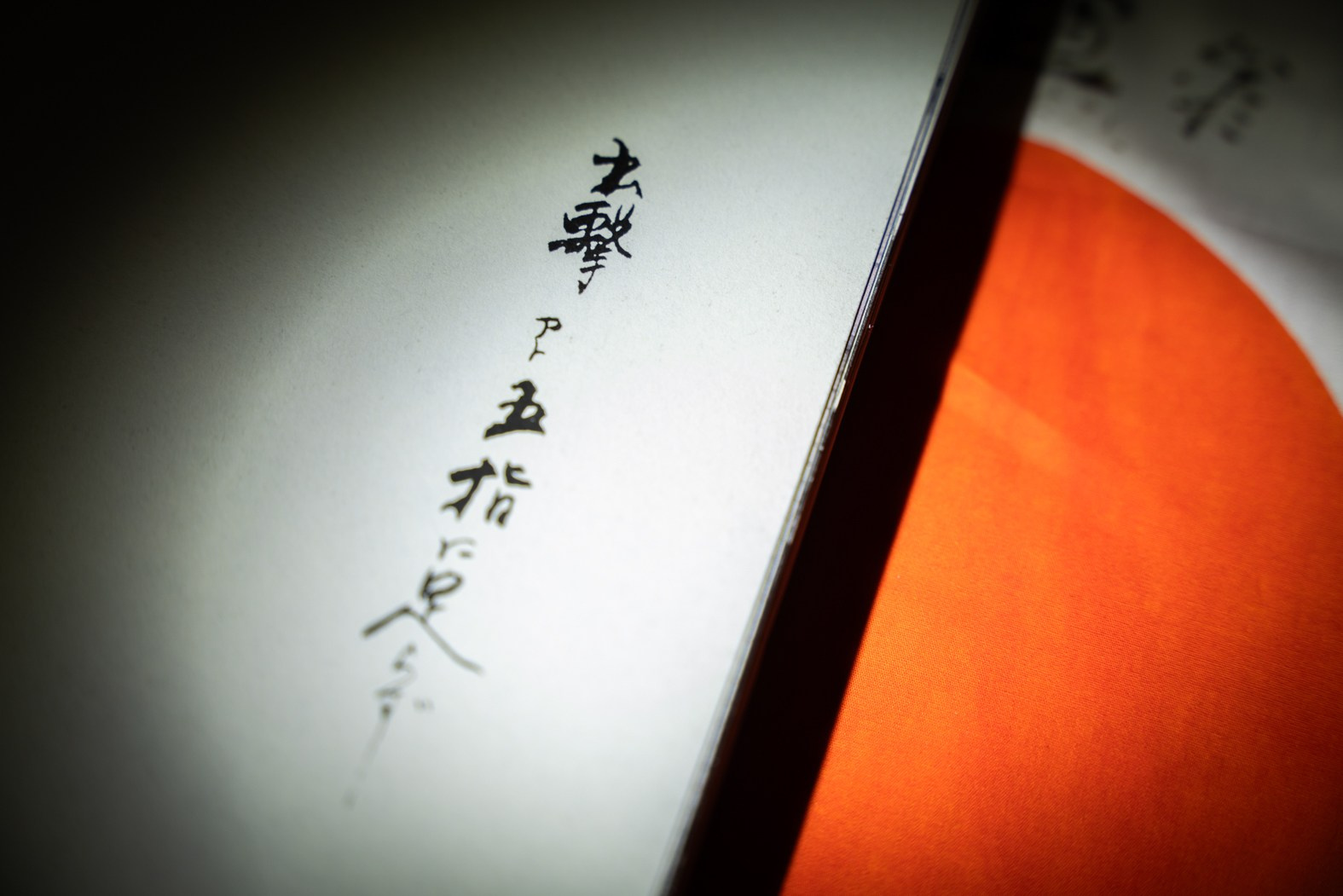 INTERVIEW WITH THE ARTIST: YOSHIKATSU FUJII. Самоорганизация Низина