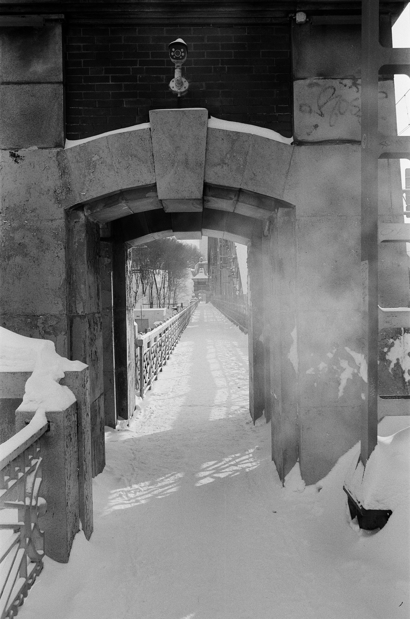 Знакомство с новой пленкой Rollei Blackbird
