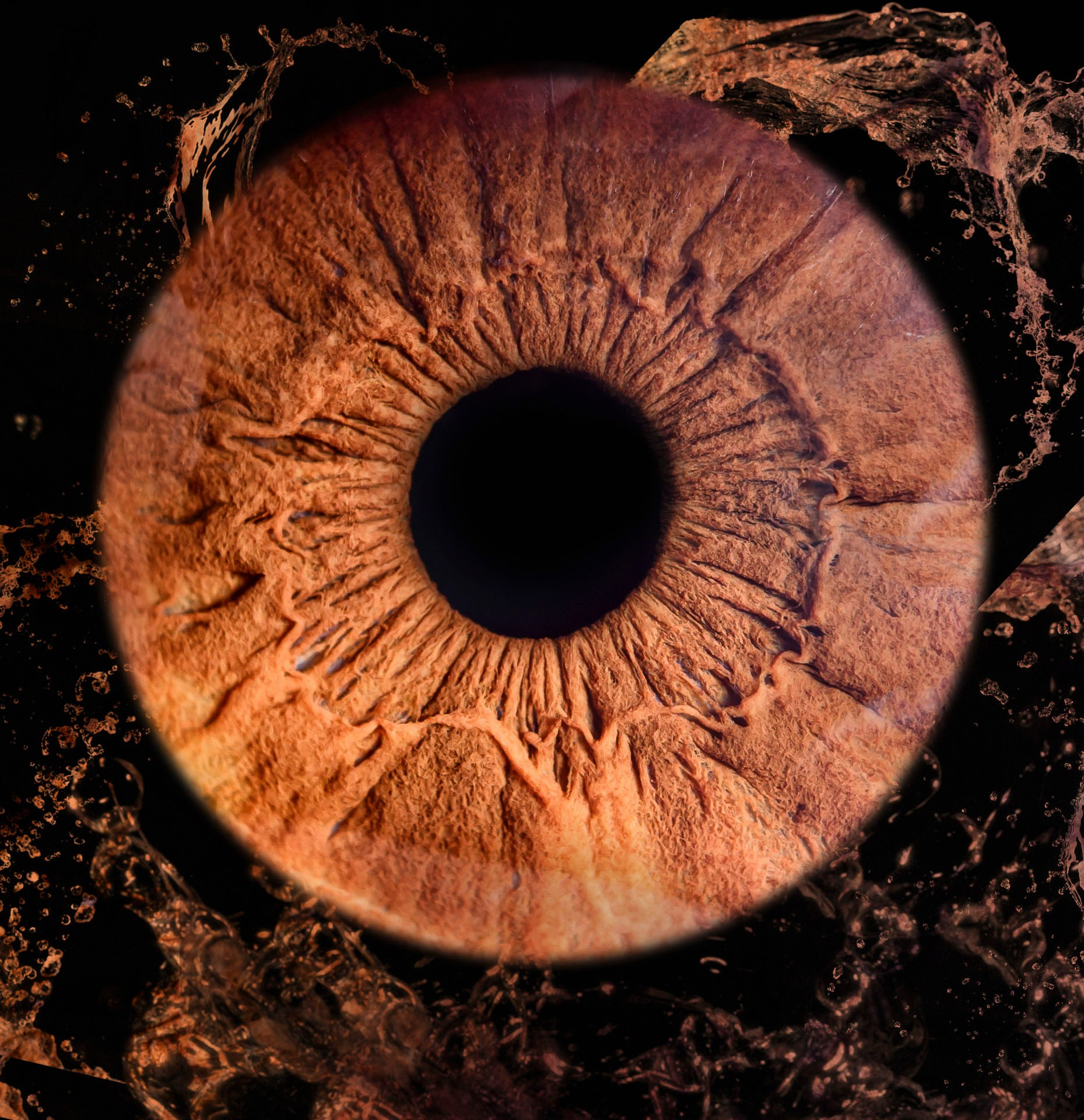 Лучшая фотография радужки глаза в Ростове. Профессиональная фотосъемка. Ростов-на-Дону