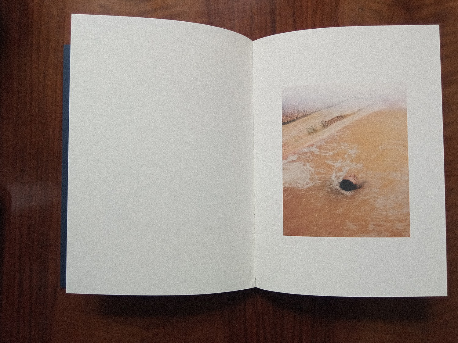 Книга «Dame Gulizar and Other Love Stories» Ребекки Топакян. Private image