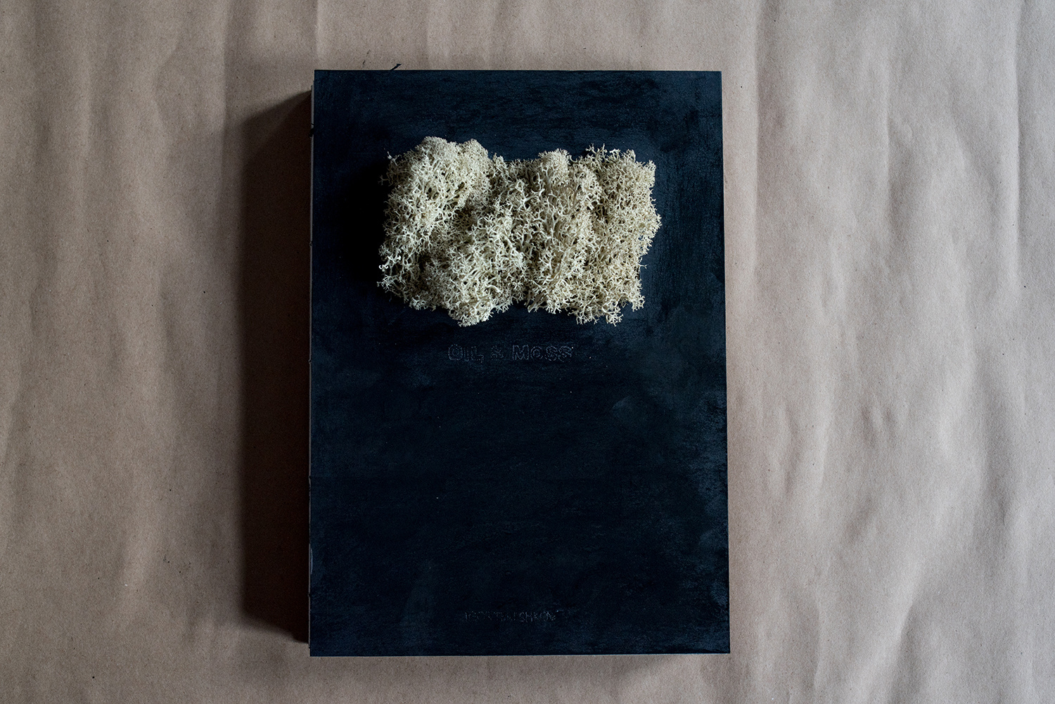 cladonia rangiferina