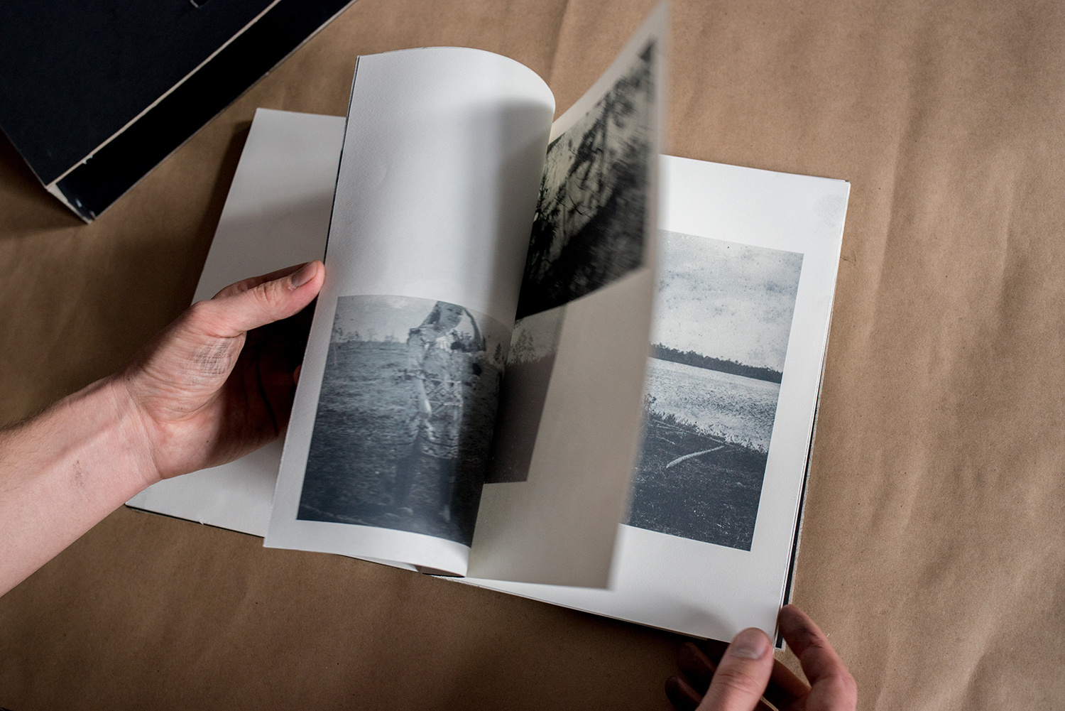 Oil and Moss. Igor Tereshkov