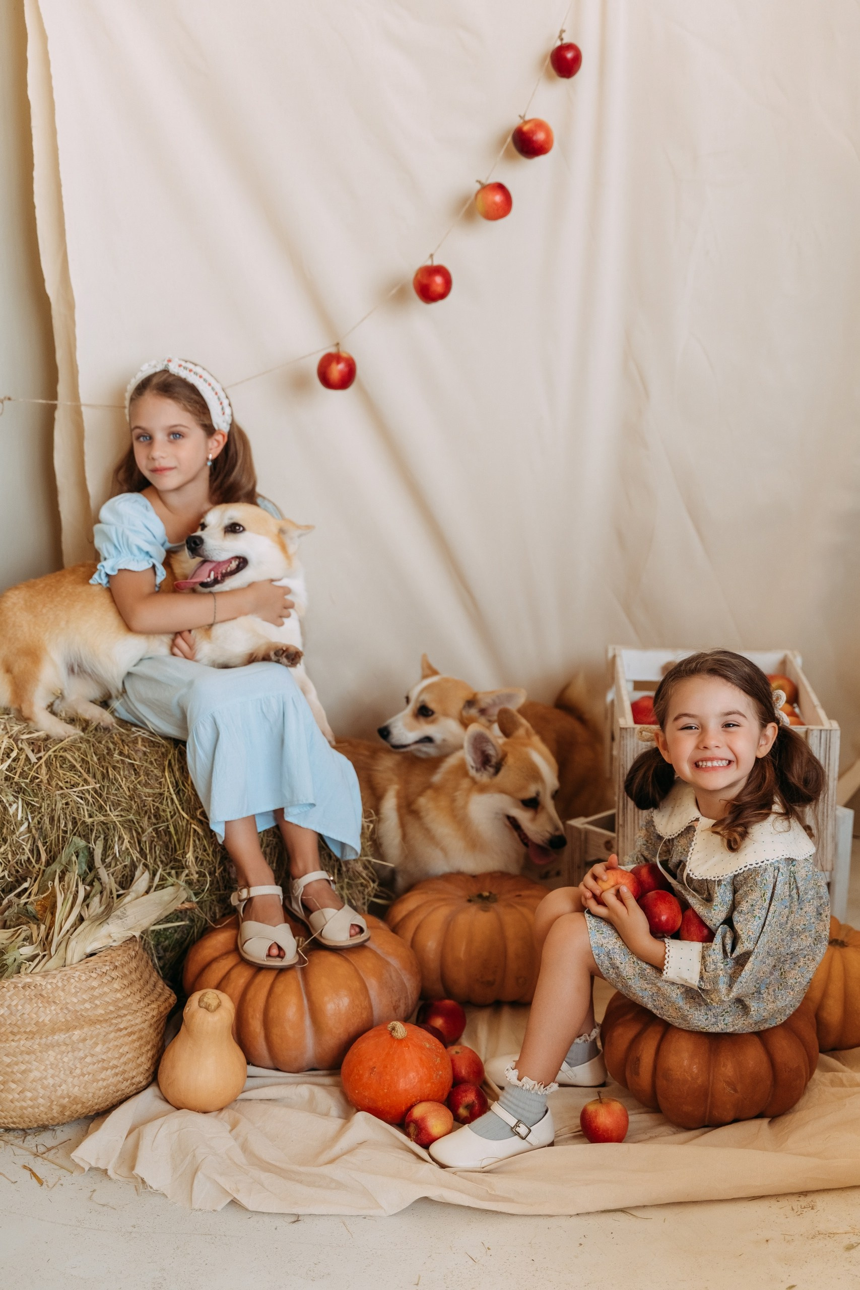 Рекомендации по образам на осеннюю фотосессию в студии. Фотограф в Санкт-Петербурге, Анна Скворцова