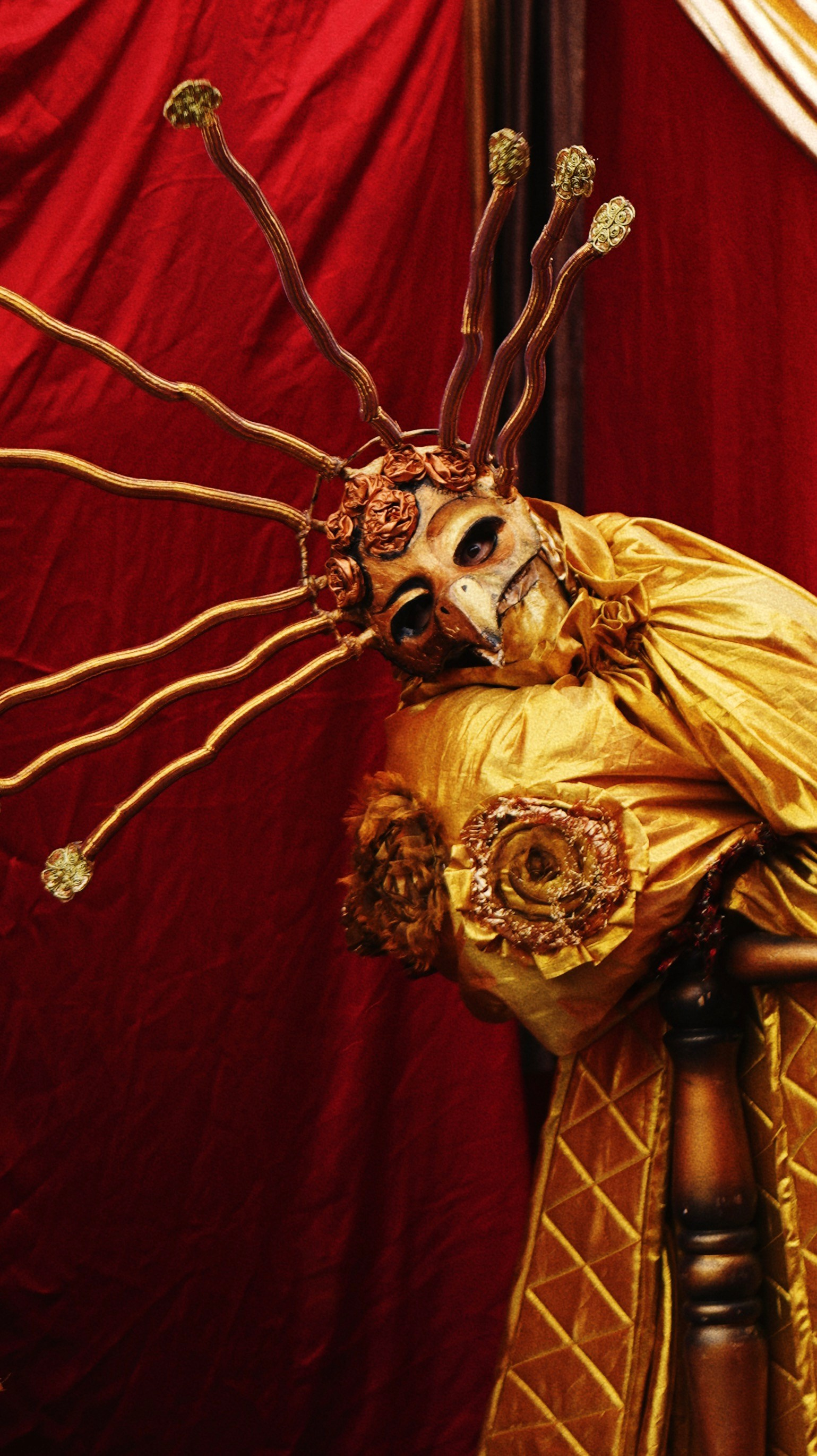 EKATERINA BOGDANOVA ─ PHOTOGRAPHER