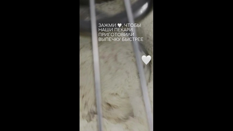 С любовью и заботой: история пекарни, которая возвращает вкус детства в каждом кусочке свежей выпечки. Фуд-фотограф и SMM в Москве
