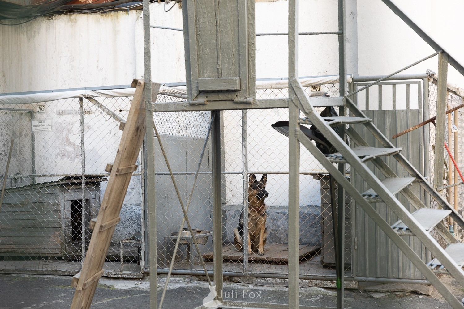 Репортажная фотосъемка во Владивостоке. Портретный, свадебный, репортажный фотограф во Владивостоке Юлиана Джули Фокс