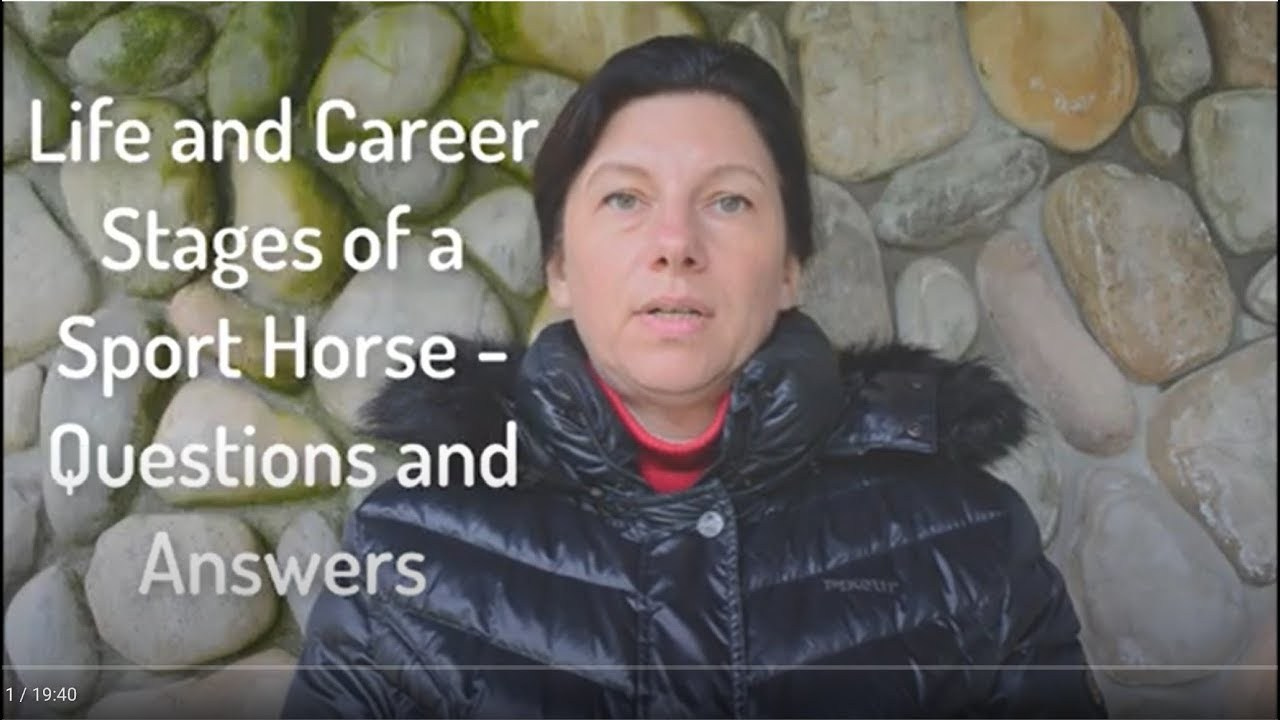 Horse as athlete. Лиана Антонович | Конные стратегии
