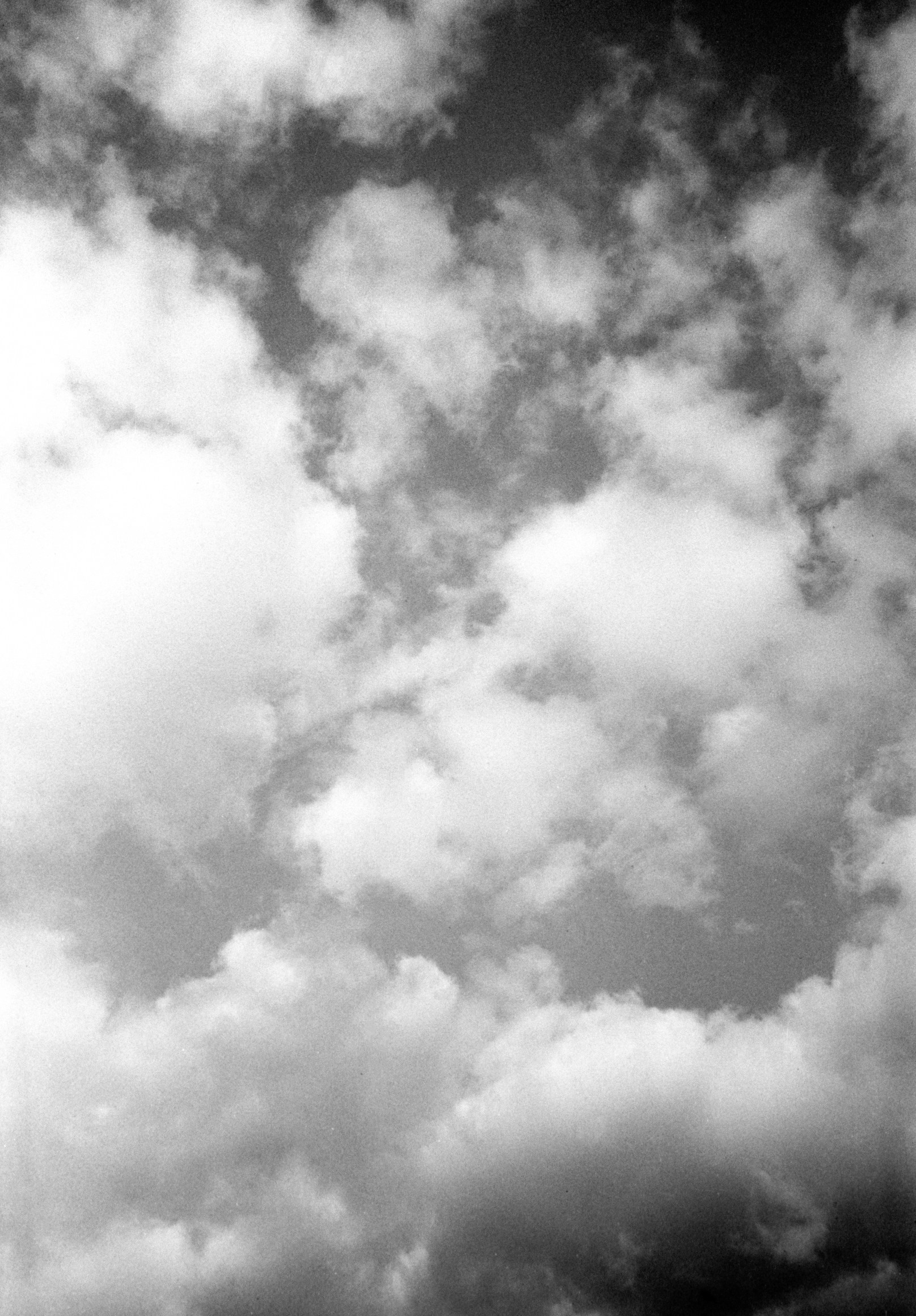 ALL DOGS GO TO HEAVEN. Dima Ptitsyn