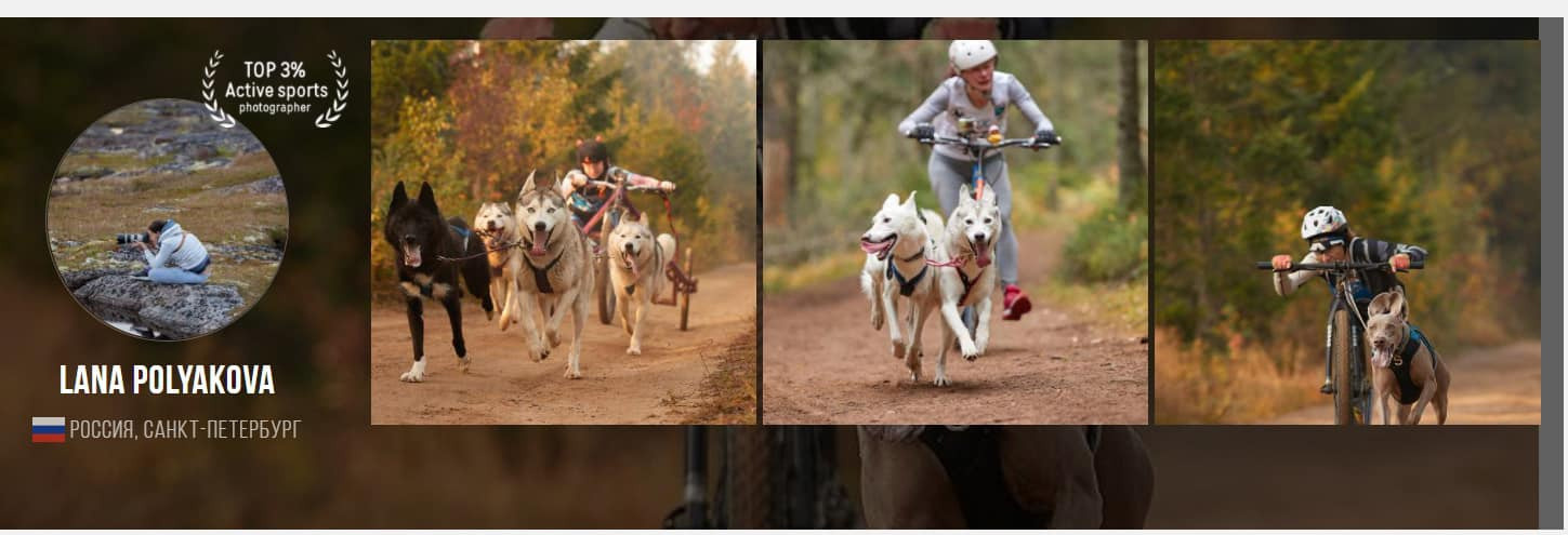 Подведены итоги конкурса «Активные виды спорта». ФОТОГРАФ-АНИМАЛИСТ l LANA POLYAKOVA