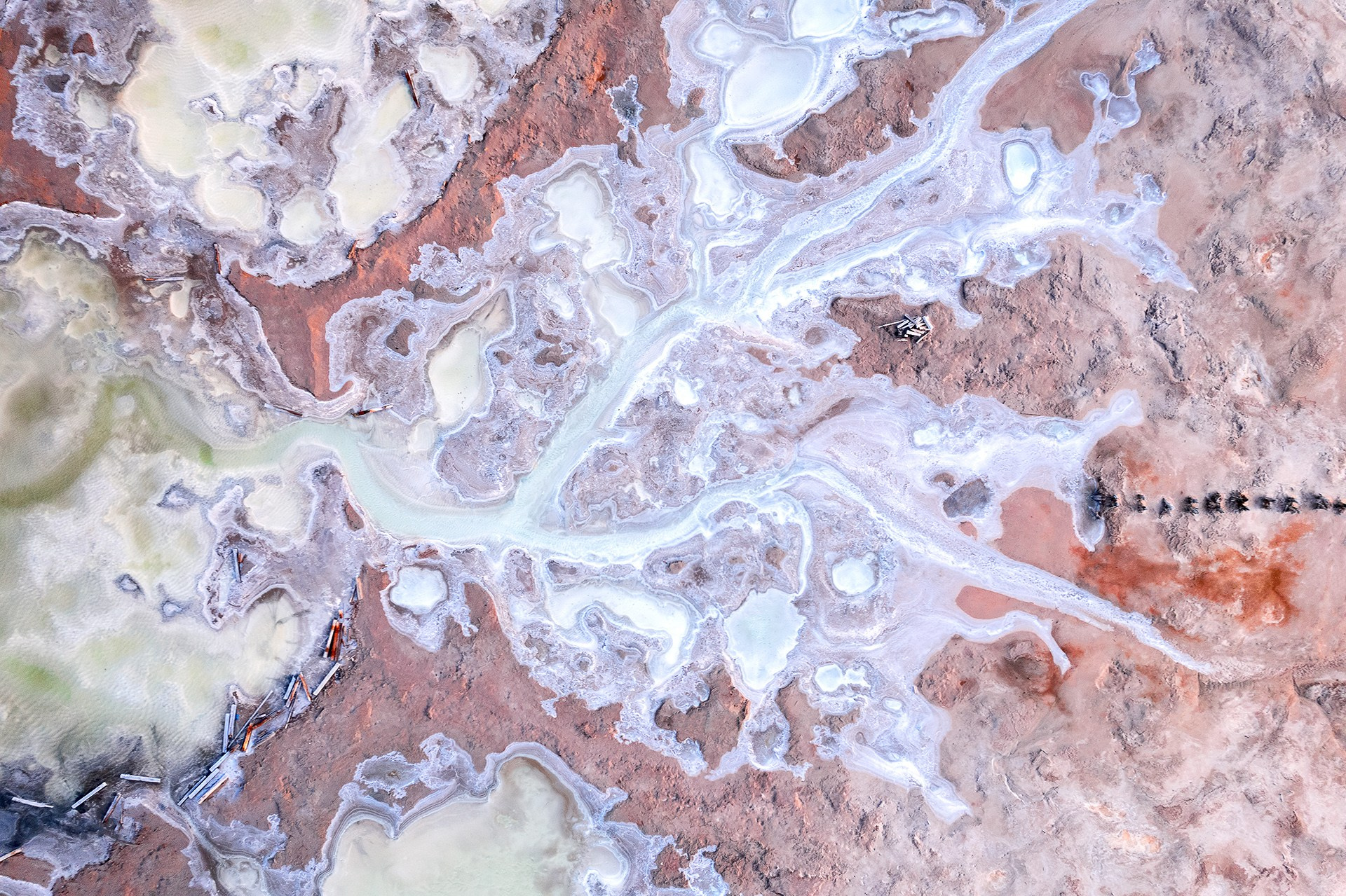 Волгоградская и астраханская области Весна 2026 | Фотограф Дмитрий Купрацевич. Дмитрий Купрацевич профессиональный пейзажный и travel-фотограф