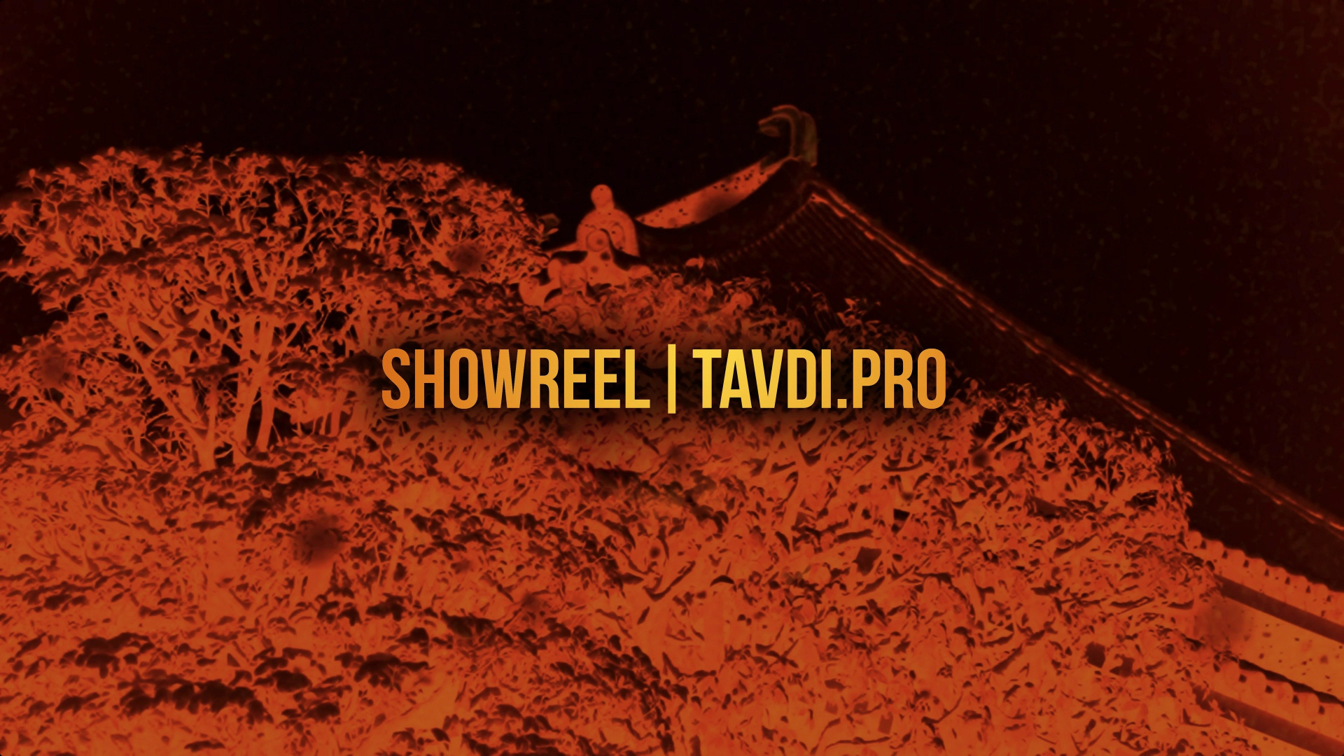 Videographer in Saint Petersburg and Central Asia — Daniil Tavdishvili