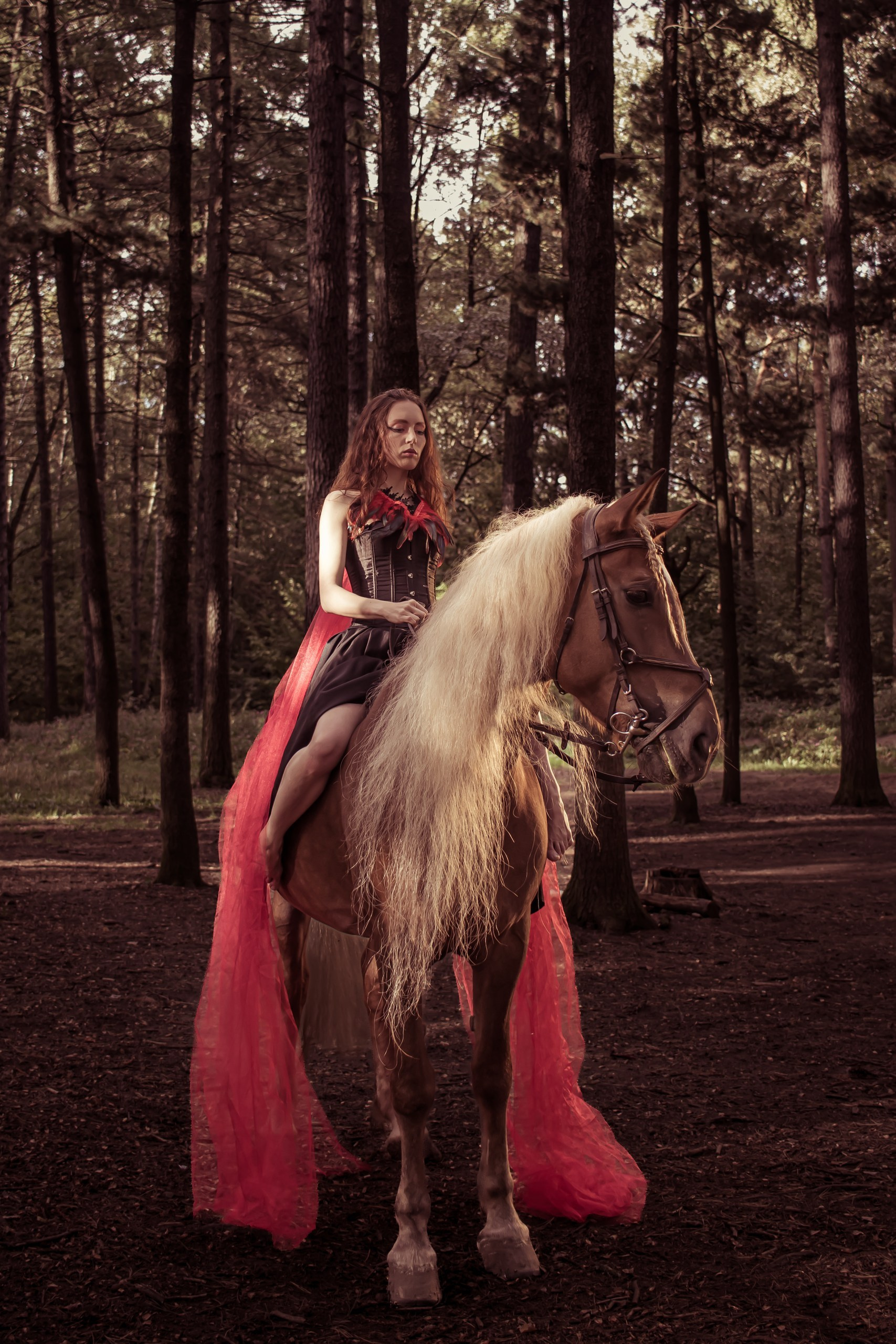Портрет девушки с красной тканью у лошади, художественная лесная съёмка • фотограф Карасёва Елена