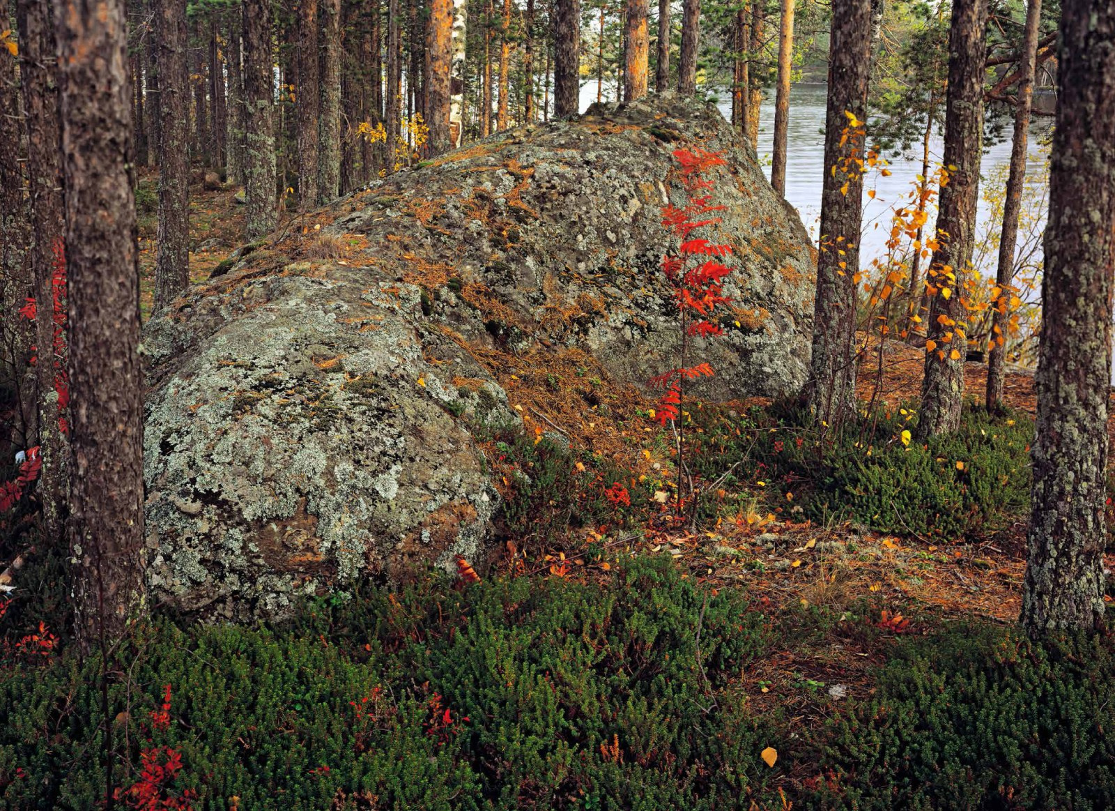 Коллекционные альбомы. ВАДИМ ГИППЕНРЕЙТЕР — ВЕЛИКИЙ ФОТОГРАФ ЗЕМЛИ РУССКОЙ
