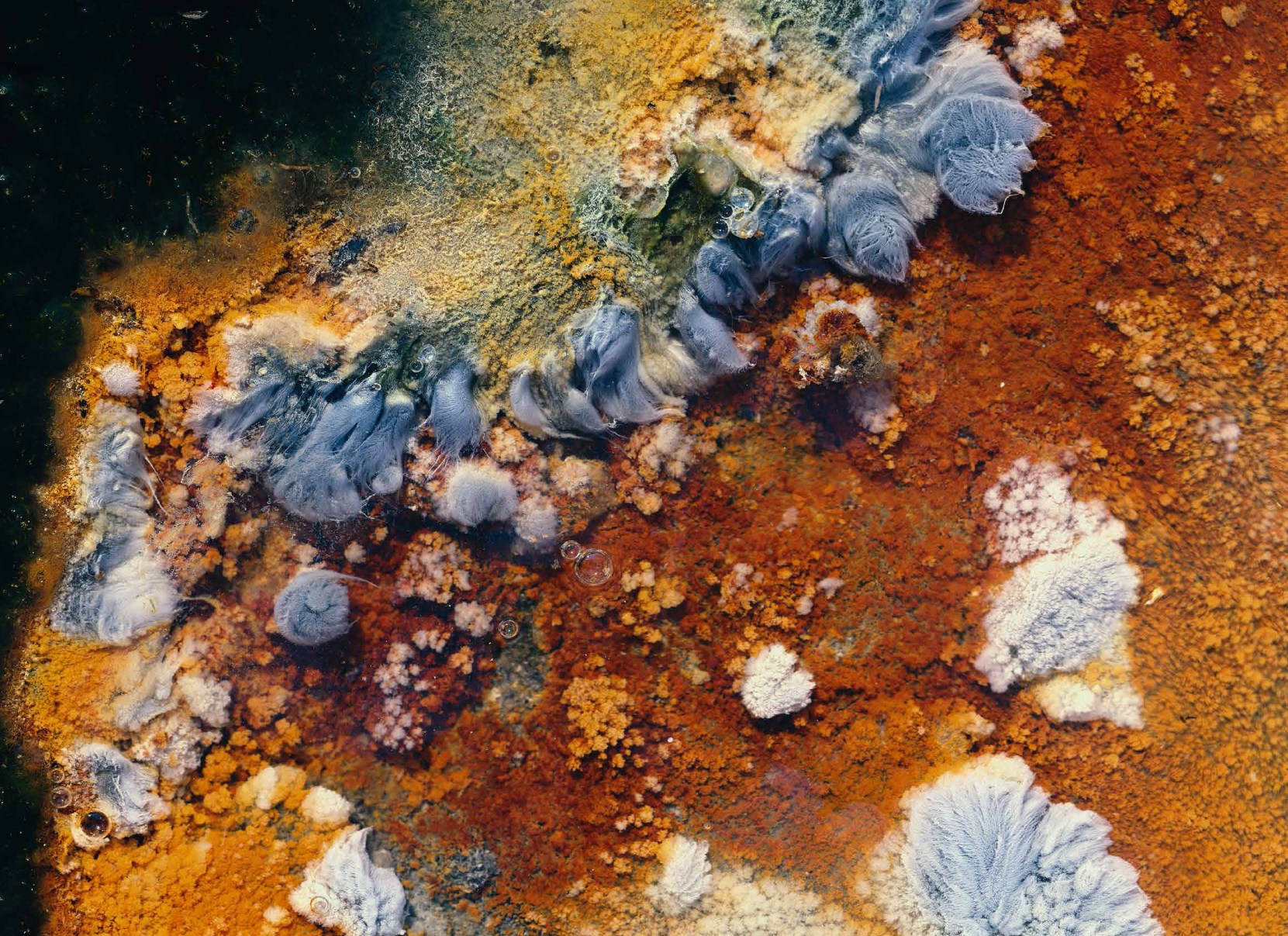 Коллекционные альбомы. ВАДИМ ГИППЕНРЕЙТЕР — ВЕЛИКИЙ ФОТОГРАФ ЗЕМЛИ РУССКОЙ