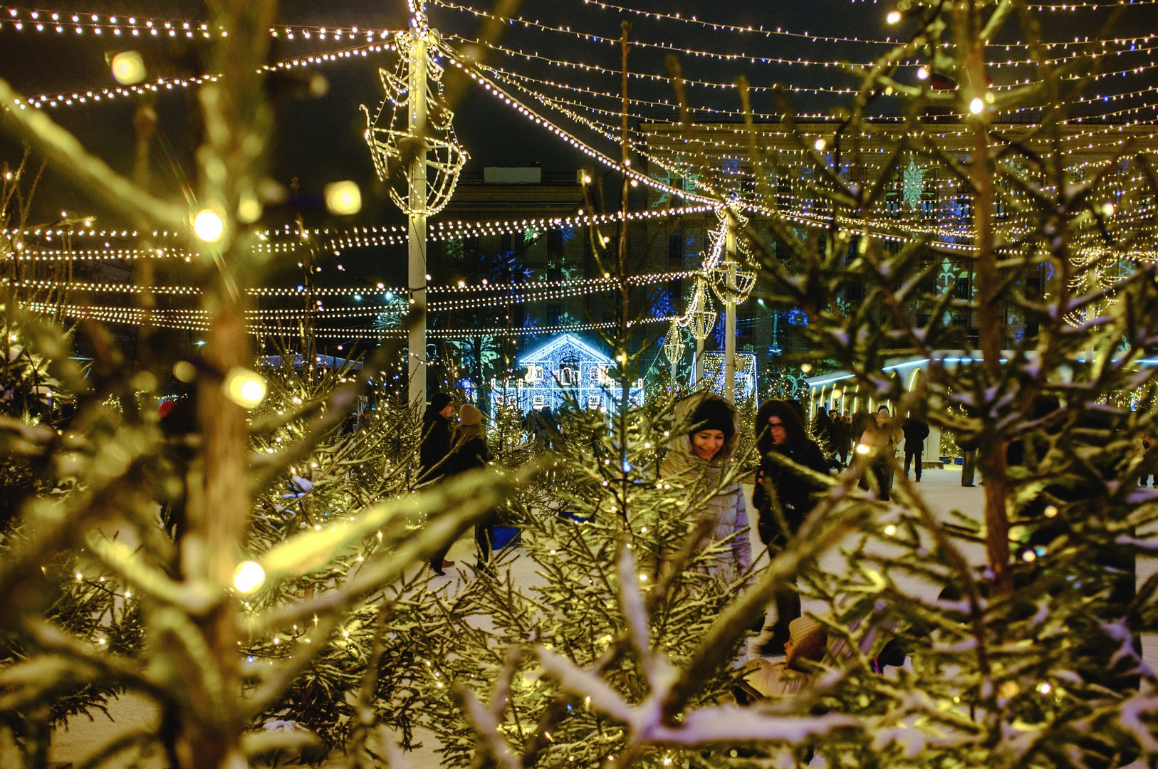 Зима уходящая. Руслан Шувалов (поэтограф)