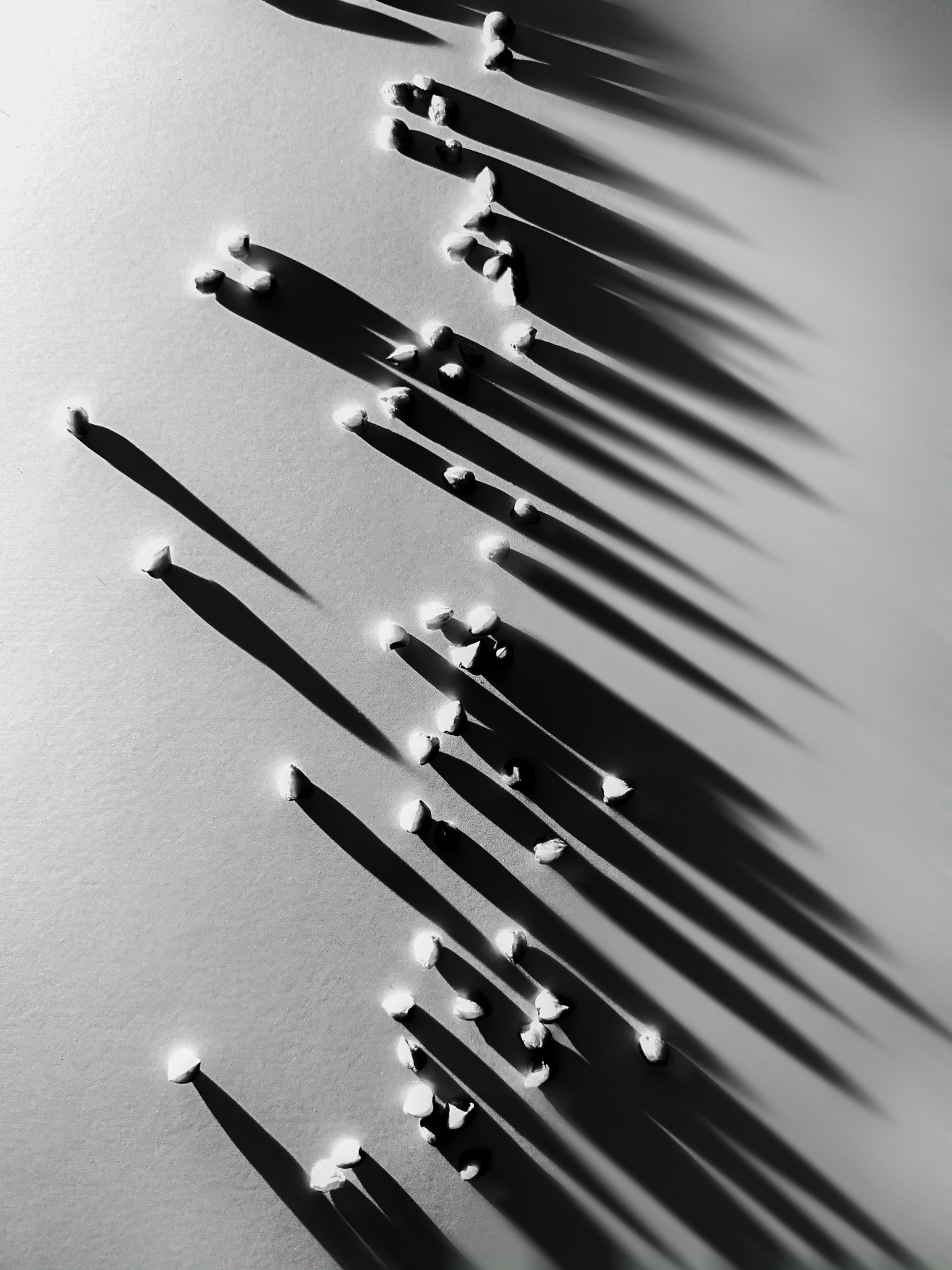 Курс «С нуля»