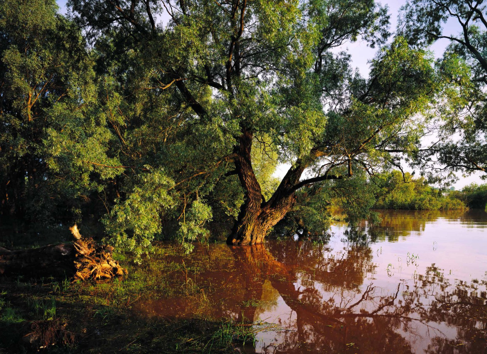 Коллекционные альбомы. ВАДИМ ГИППЕНРЕЙТЕР — ВЕЛИКИЙ ФОТОГРАФ ЗЕМЛИ РУССКОЙ
