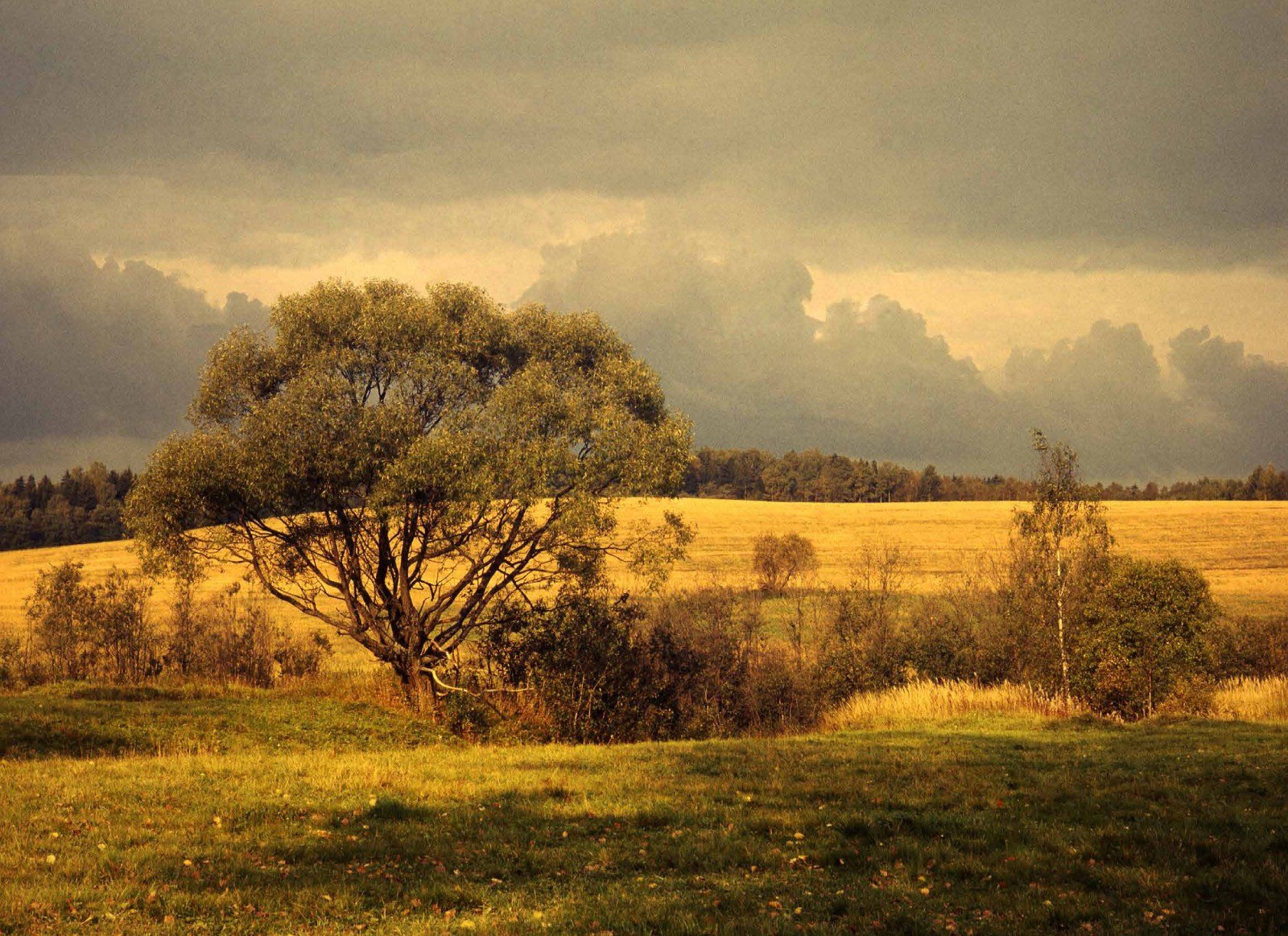 Коллекционные альбомы. ВАДИМ ГИППЕНРЕЙТЕР — ВЕЛИКИЙ ФОТОГРАФ ЗЕМЛИ РУССКОЙ