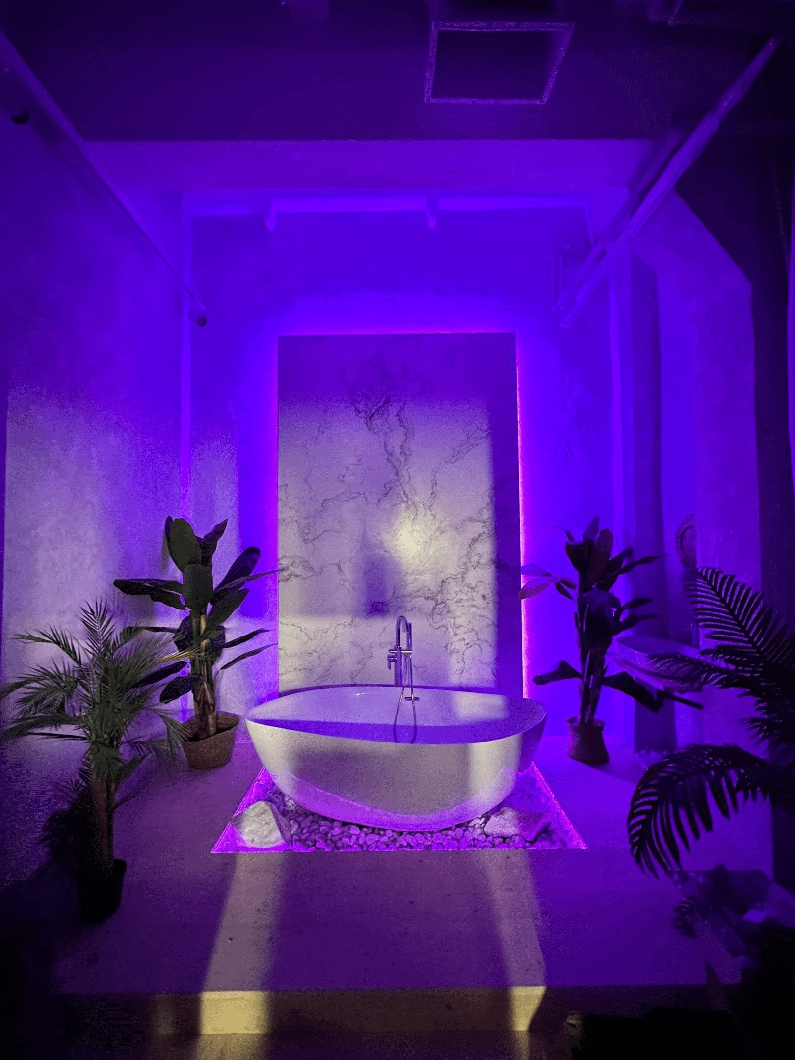 Фотостудии г.Липецк. Фотограф Екатерина Лёвушкина