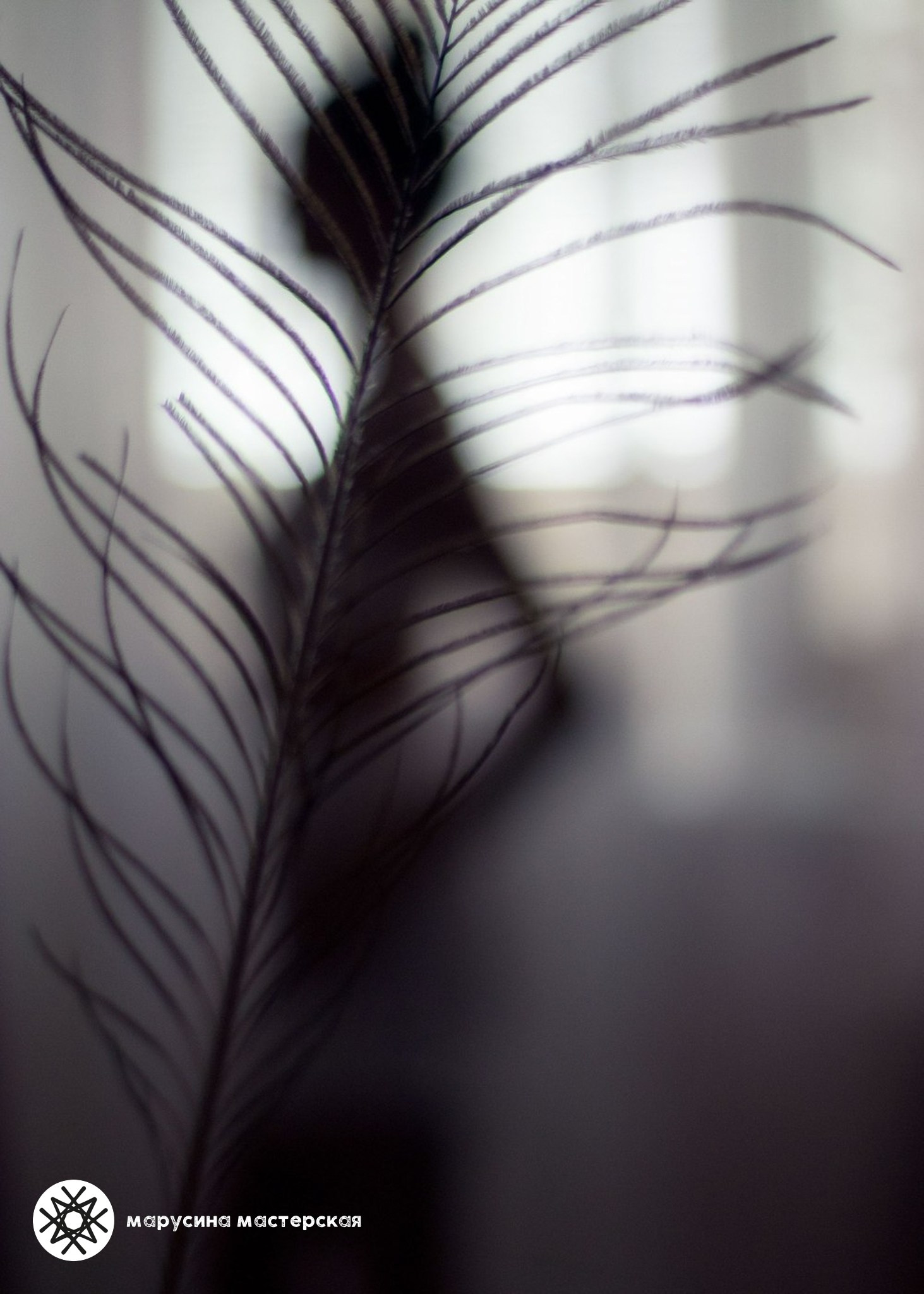 Фотография с проработанной композицией и светом