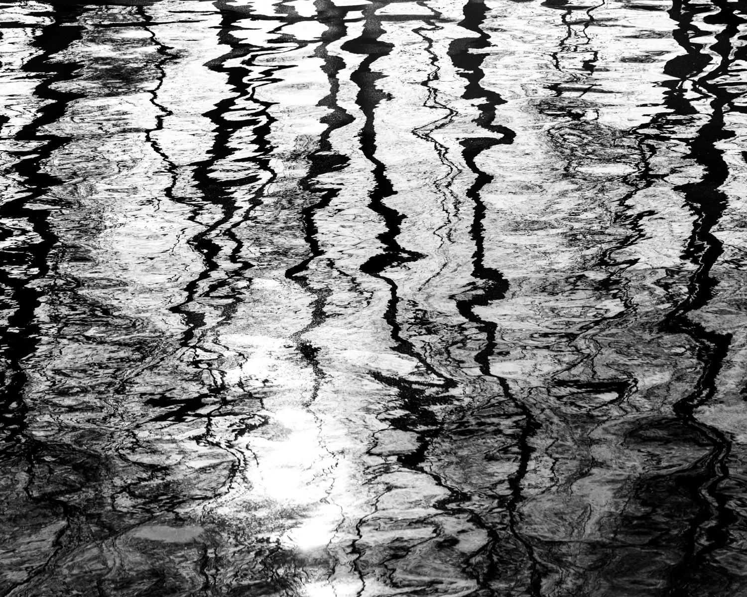 Принты. Фотограф Вера Фролова