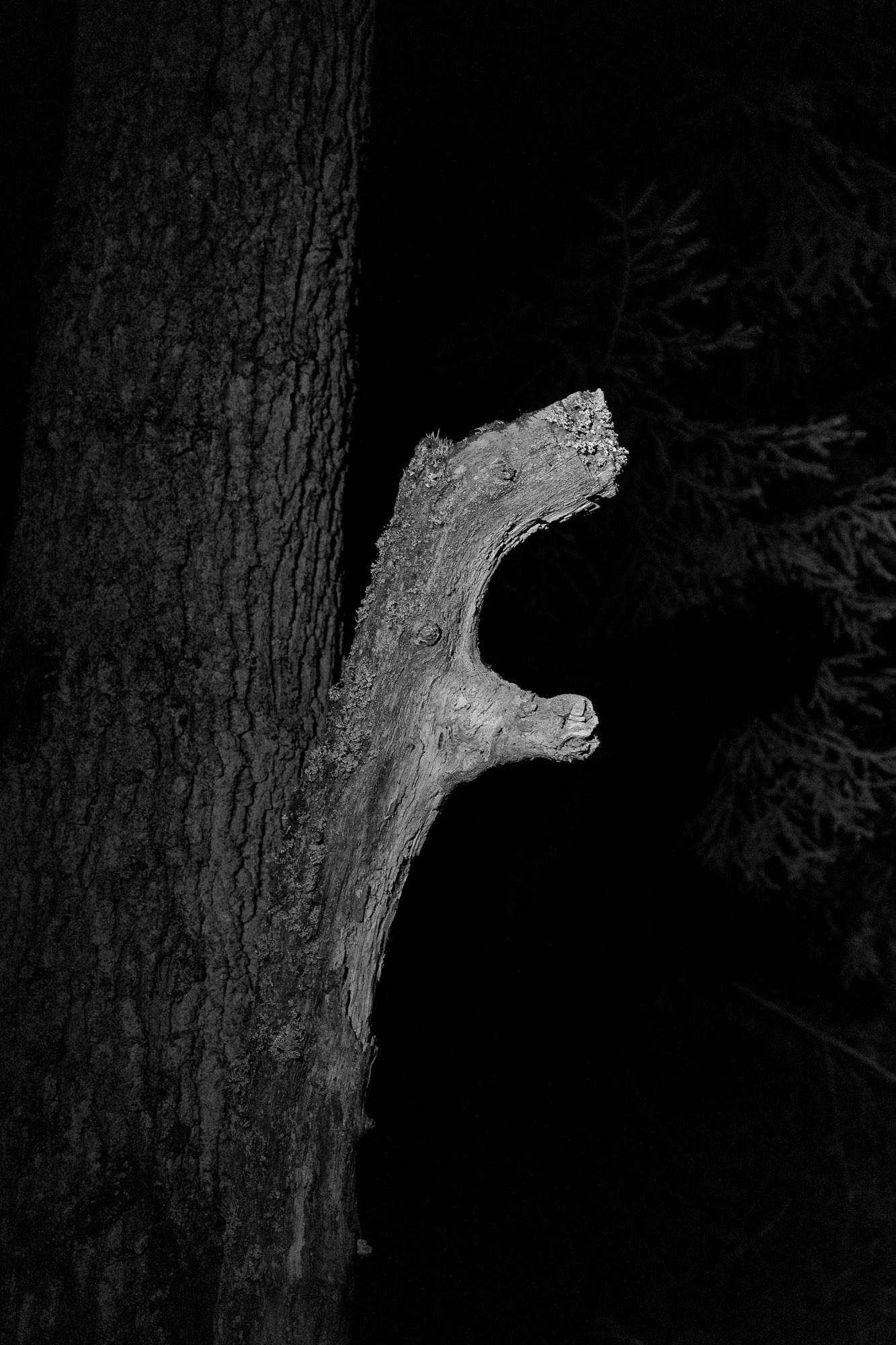 Пограничье. Юлия Леонова — фотограф, визуальный художник Минск