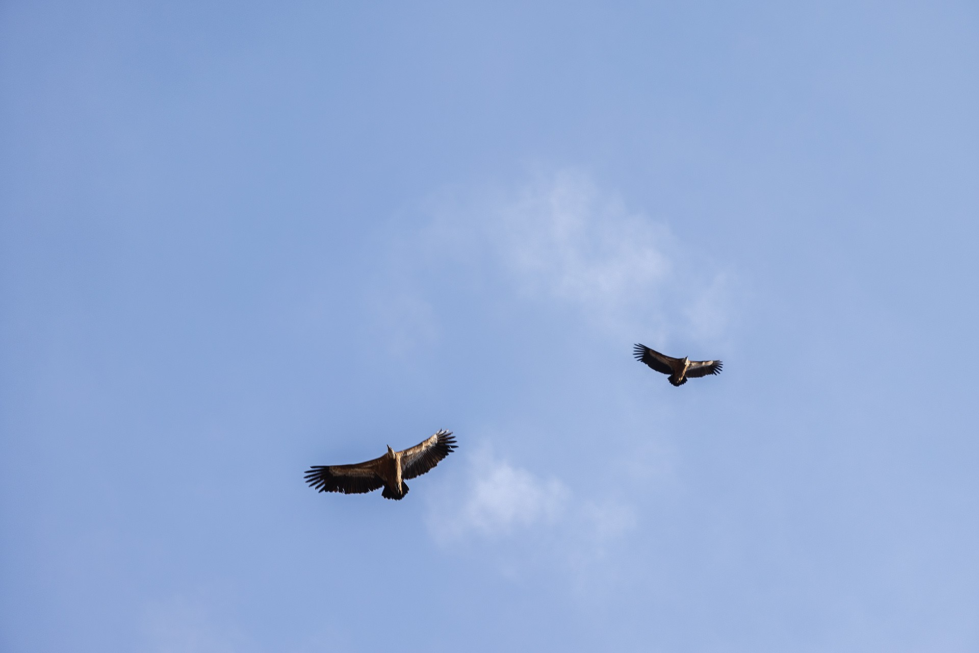 Экспедиция по Цумадинскому району и югу Дагестана 21.03.26 — 29.03.26. Дмитрий Купрацевич профессиональный пейзажный и travel-фотограф