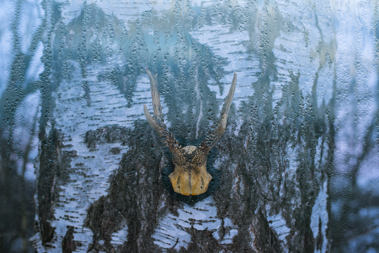 Мы пьем воду из одной реки (2021). Междисциплинарный художник и режиссер София Меликова