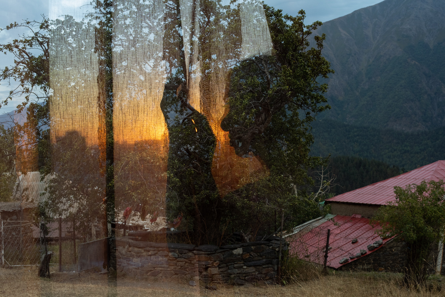 Мы пьем воду из одной реки (2021). Междисциплинарный художник и режиссер София Меликова