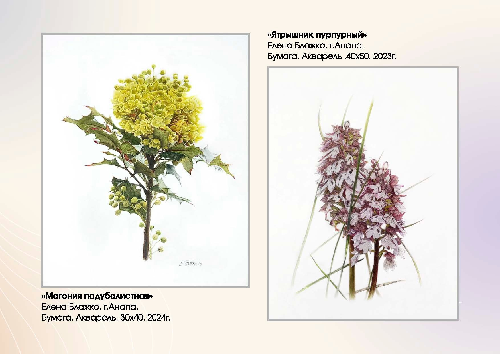 Блажко Елена Владленовна. Галерея участников Российской Премии Искусств