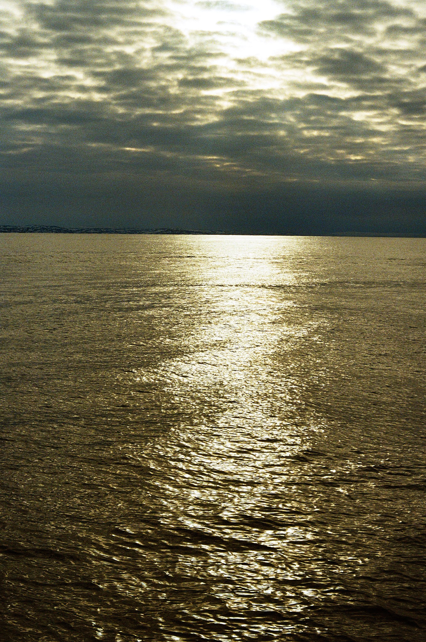 Teriberka (Murmansk). The Other Pavel Potseluev — film photography and mastery of meat business