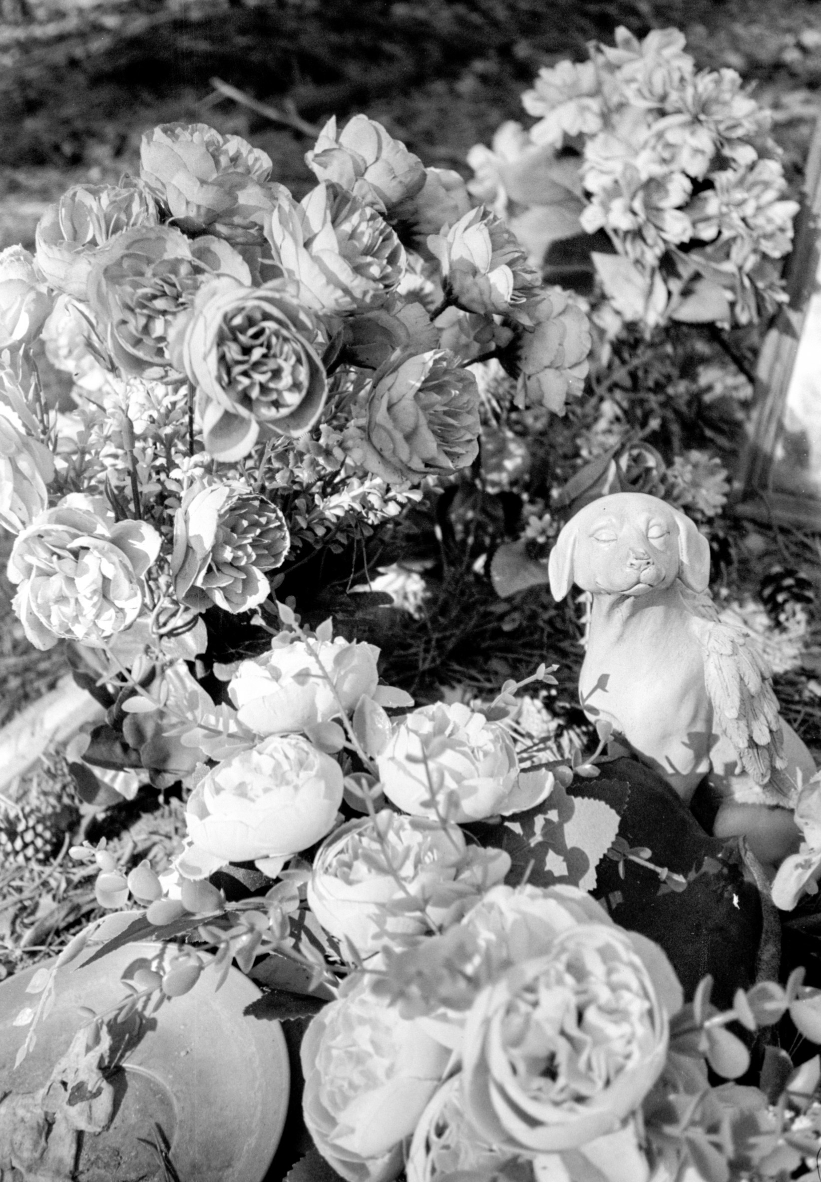 ALL DOGS GO TO HEAVEN. Dima Ptitsyn