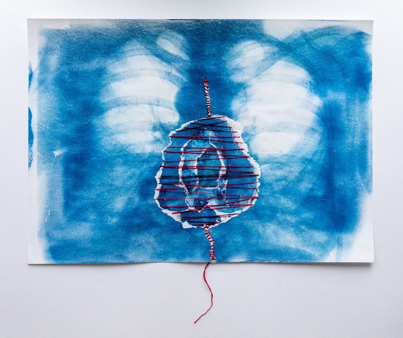 CYANOTYPE. CONTEMPORARY ARTIST OLGA ANDRIYASH