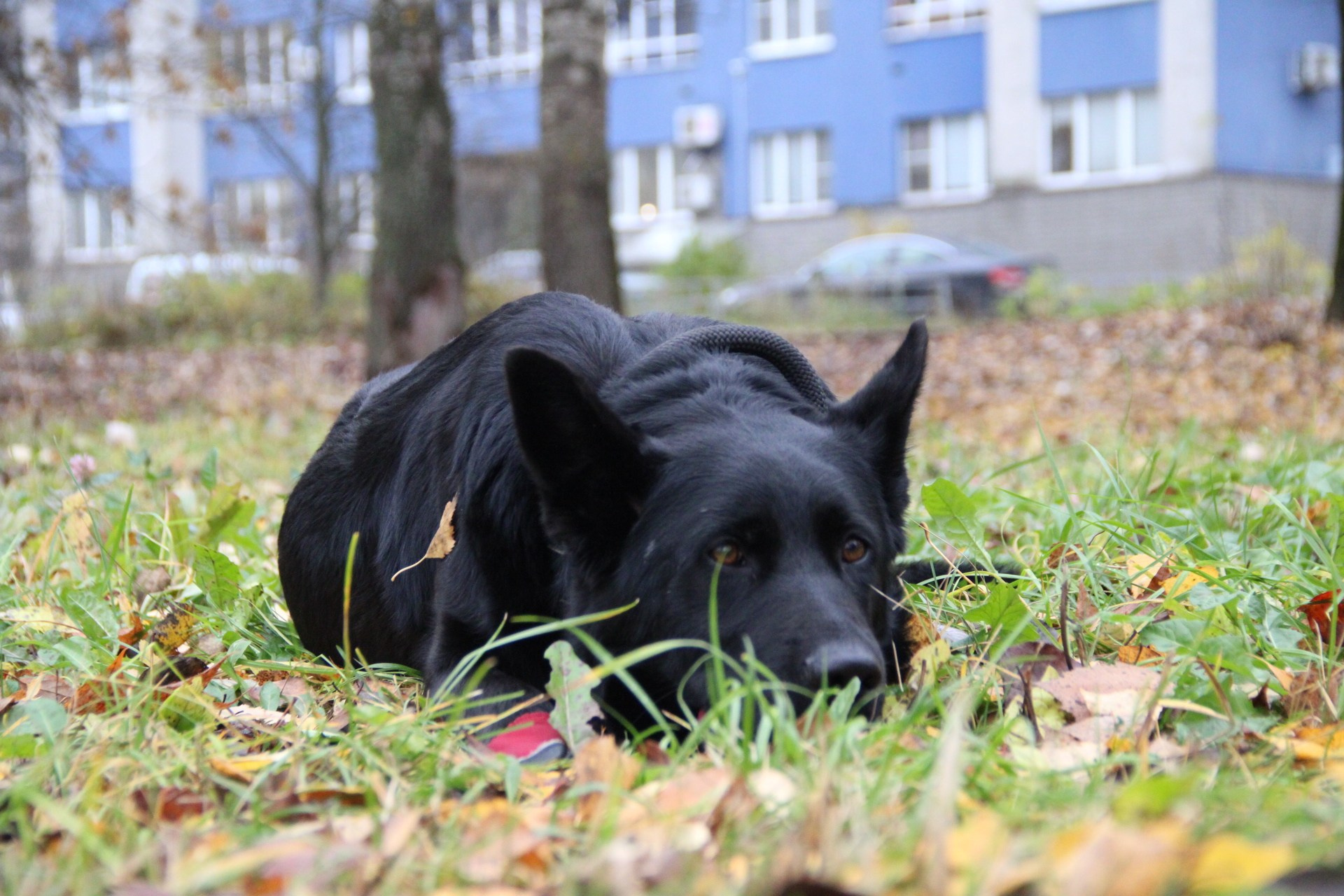 Катя Попова|ЛайфСтайл фотограф